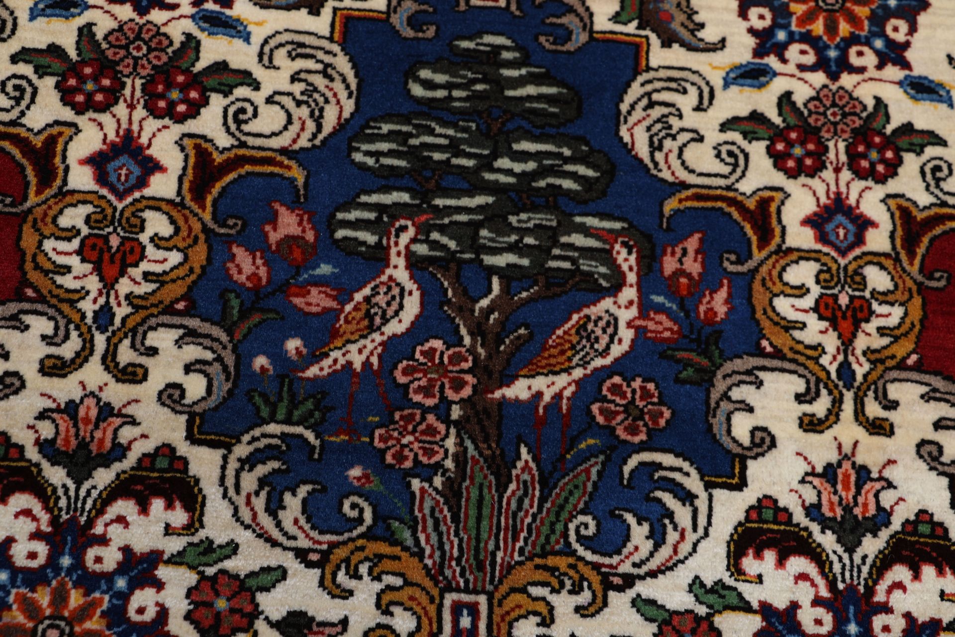 Bakhtiari Persian Rug — hand-knotted, 210 × 305 cm, Wool
