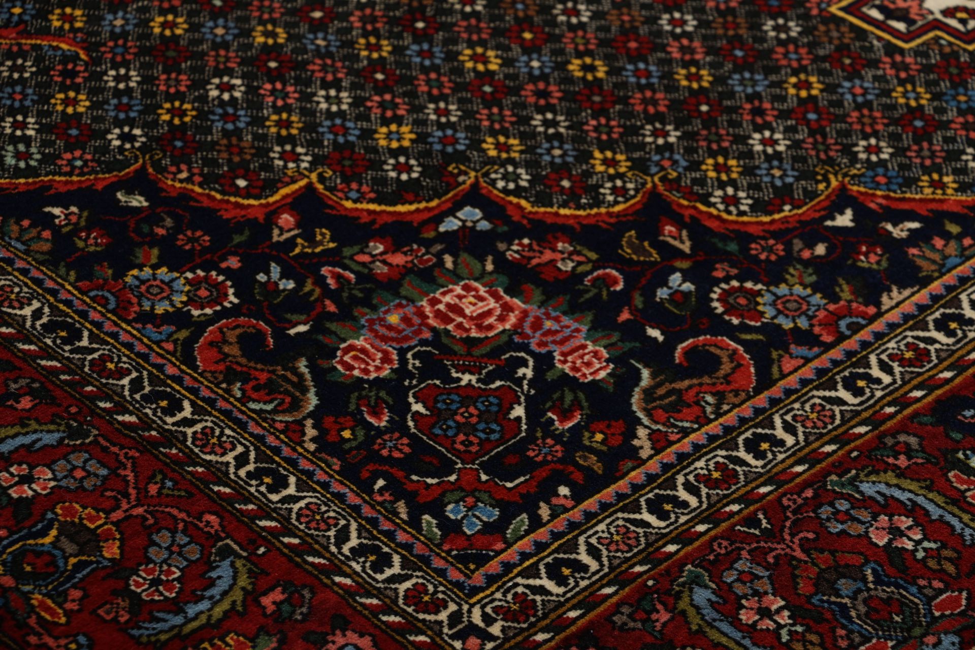 Bakhtiari Persian Rug — hand-knotted, 210 × 310 cm, Wool