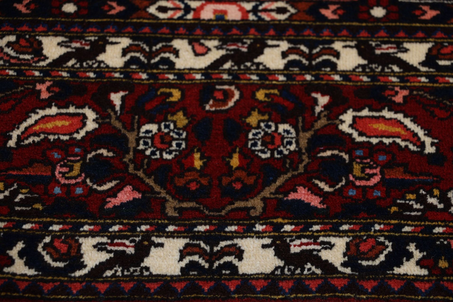 Bakhtiari Persian Rug — hand-knotted, 210 × 300 cm, Wool