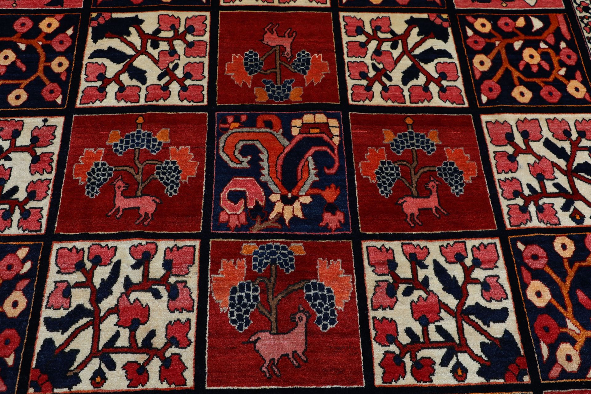 perserteppich-bachtiar-215-x-300-cm-schurwolle-handgeknupft-9 Bakhtiari Persian Rug — hand-knotted, 215 × 300 cm, Wool