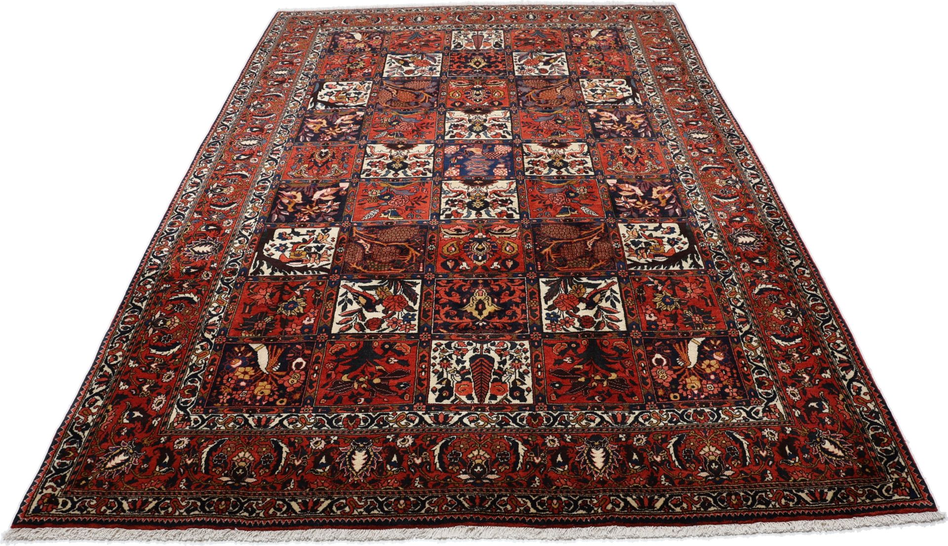 Bakhtiari Persian Rug — hand-knotted, 217 × 315 cm, Wool
