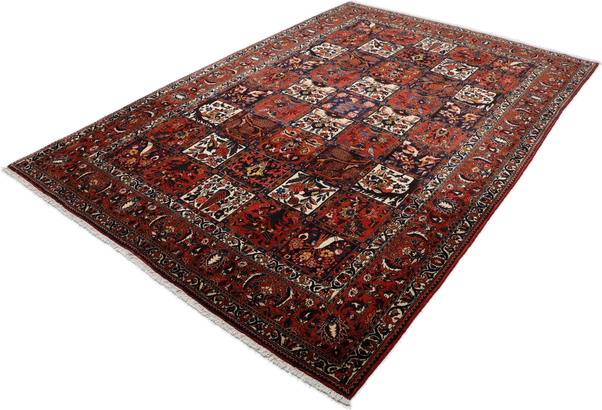 Bakhtiari Persian Rug — hand-knotted, 217 × 315 cm, Wool