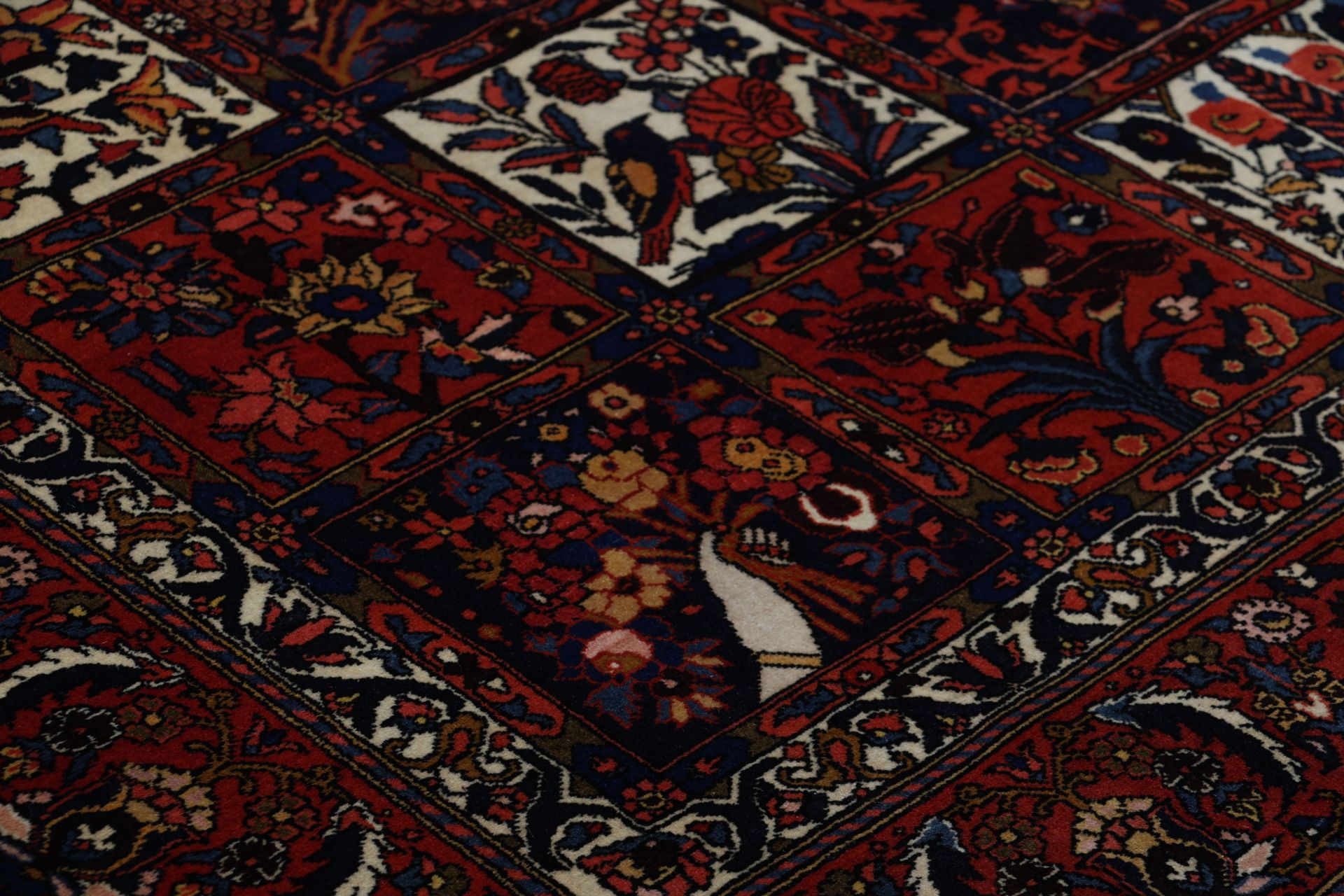 Bakhtiari Persian Rug — hand-knotted, 217 × 315 cm, Wool