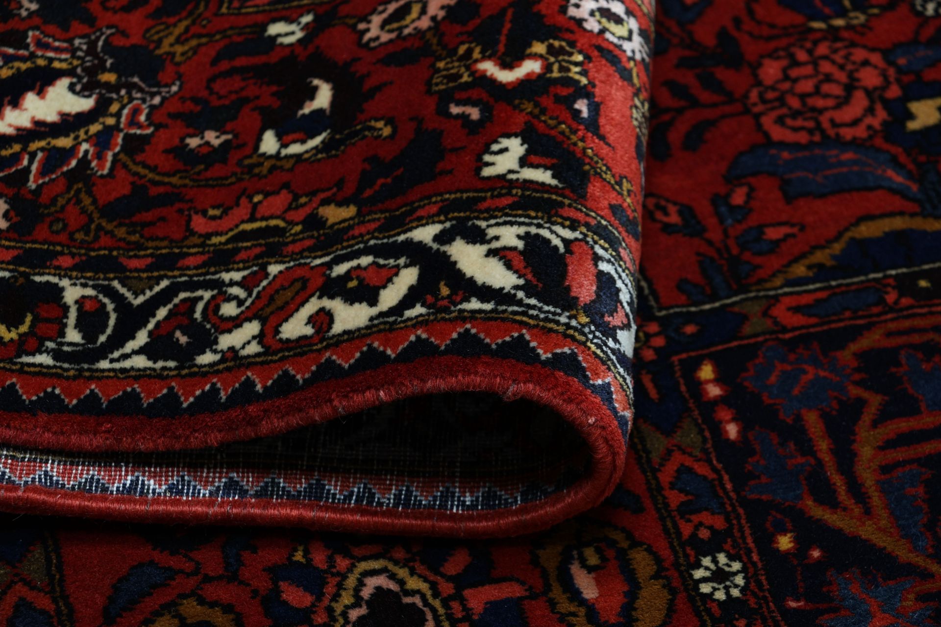 Bakhtiari Persian Rug — hand-knotted, 217 × 315 cm, Wool