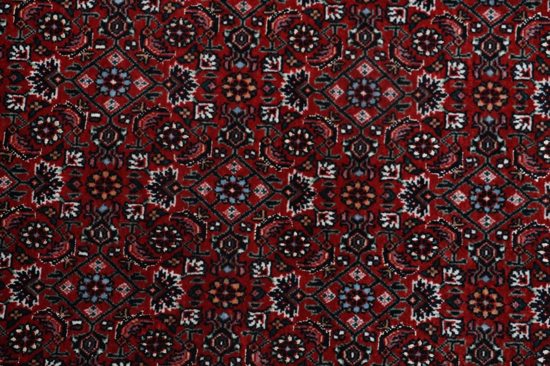 Hand-Knotted Wool & Silk Bijar Persian Rug, 205 × 308 cm