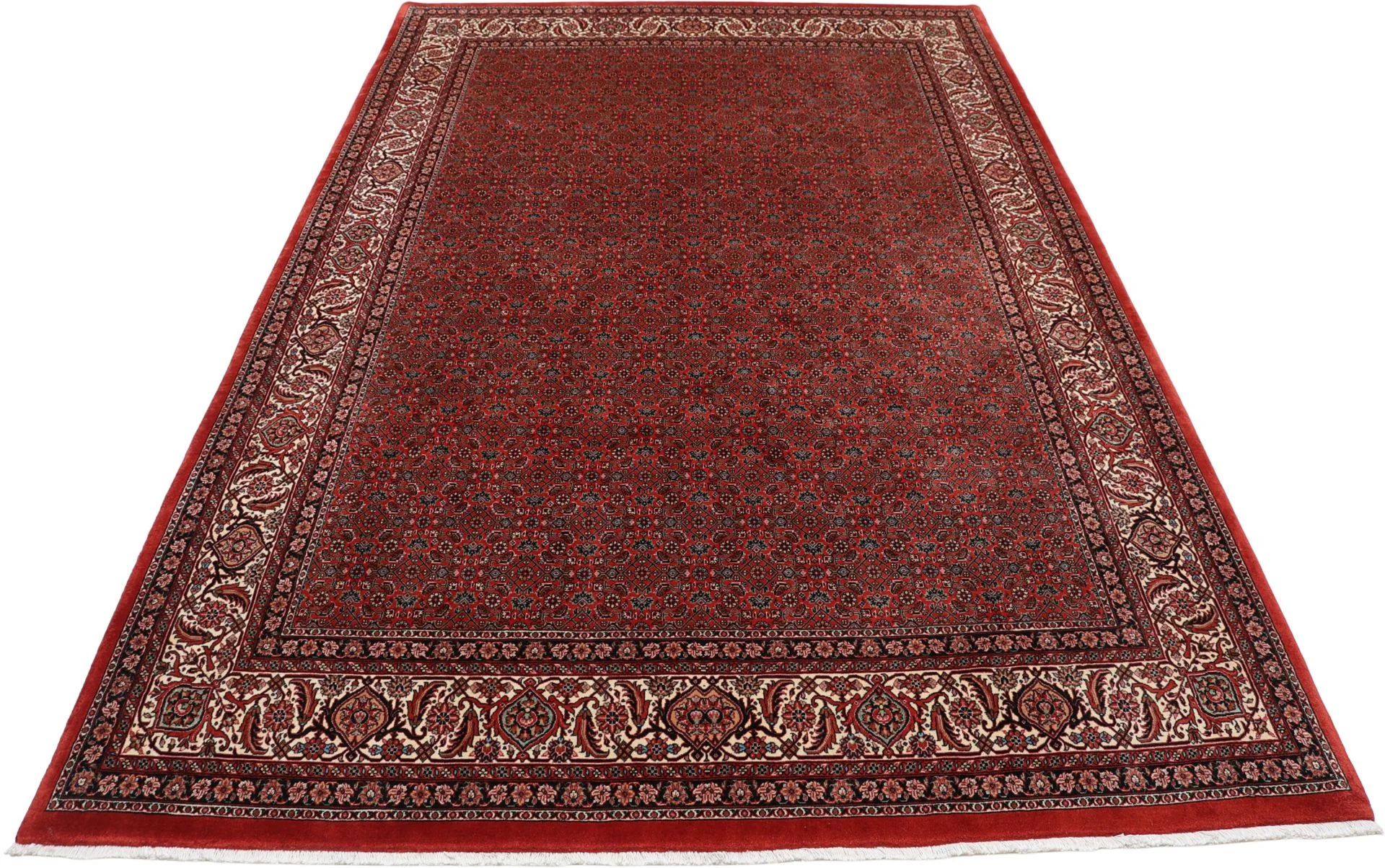 Bijar Persian Rug 200 × 305 cm, Wool & Silk, hand-knotted