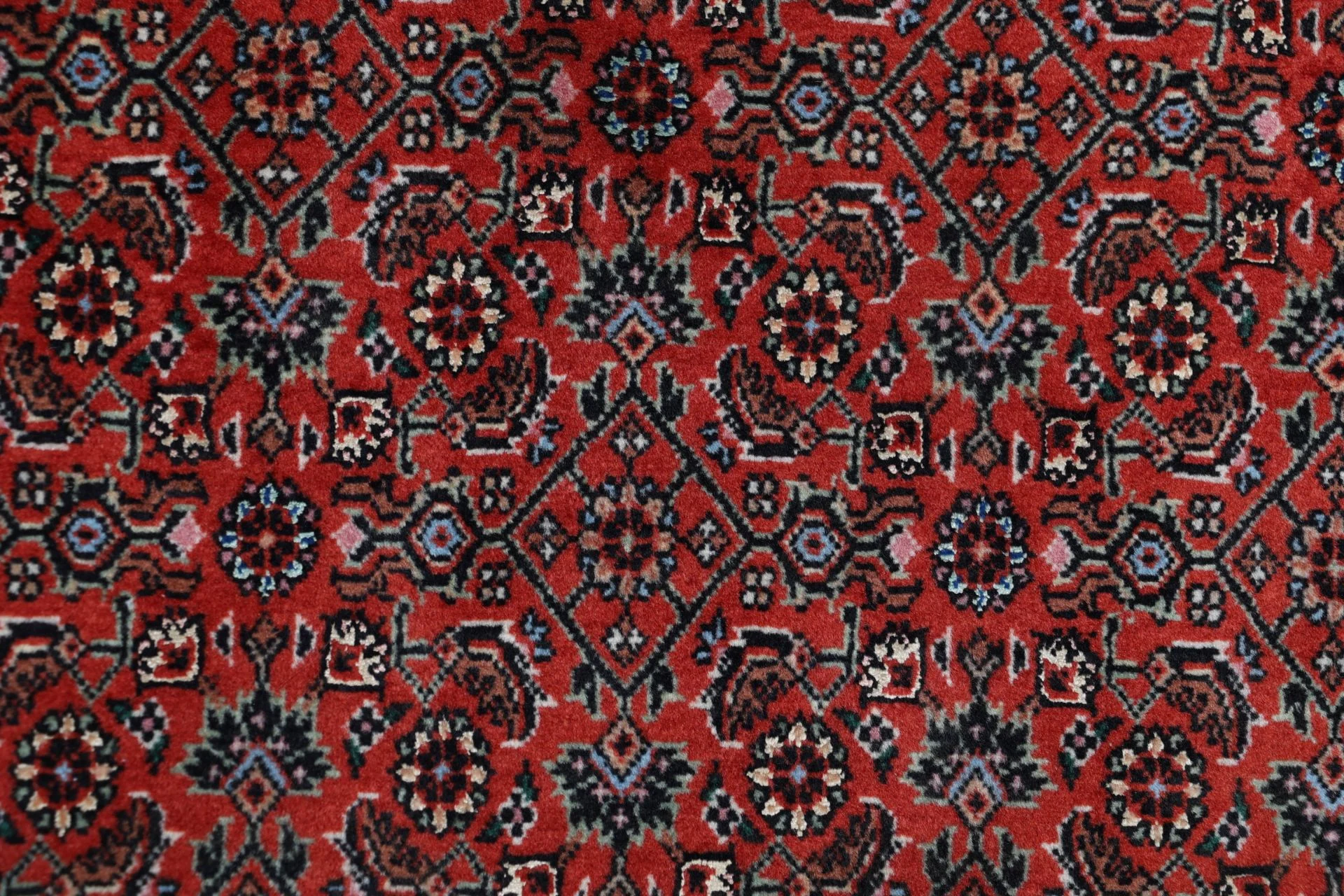Bijar Persian Rug 200 × 305 cm, Wool & Silk, hand-knotted