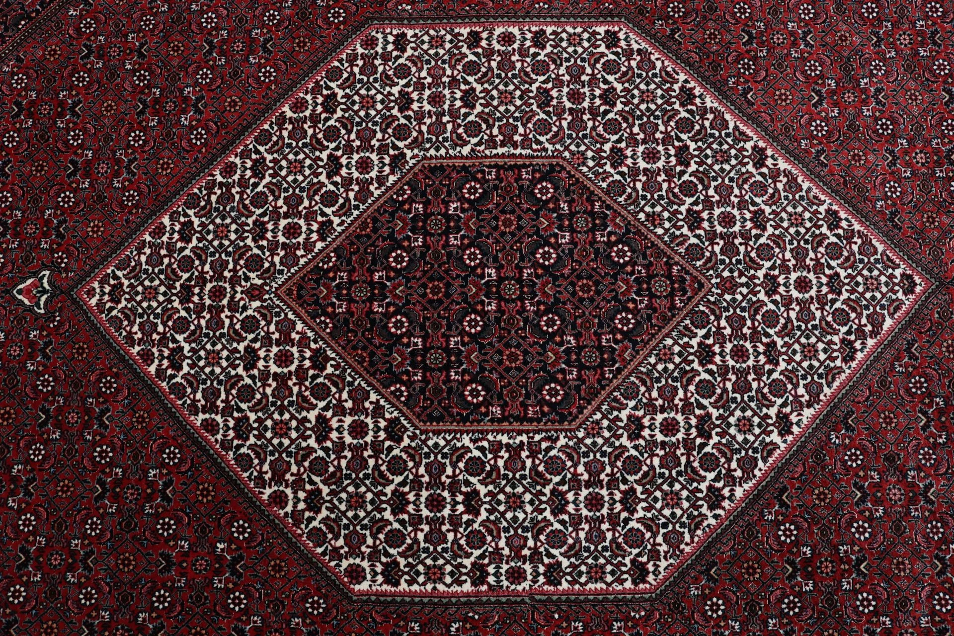 Bijar Persian Rug 255 × 305 cm, Wool & Silk, hand-knotted