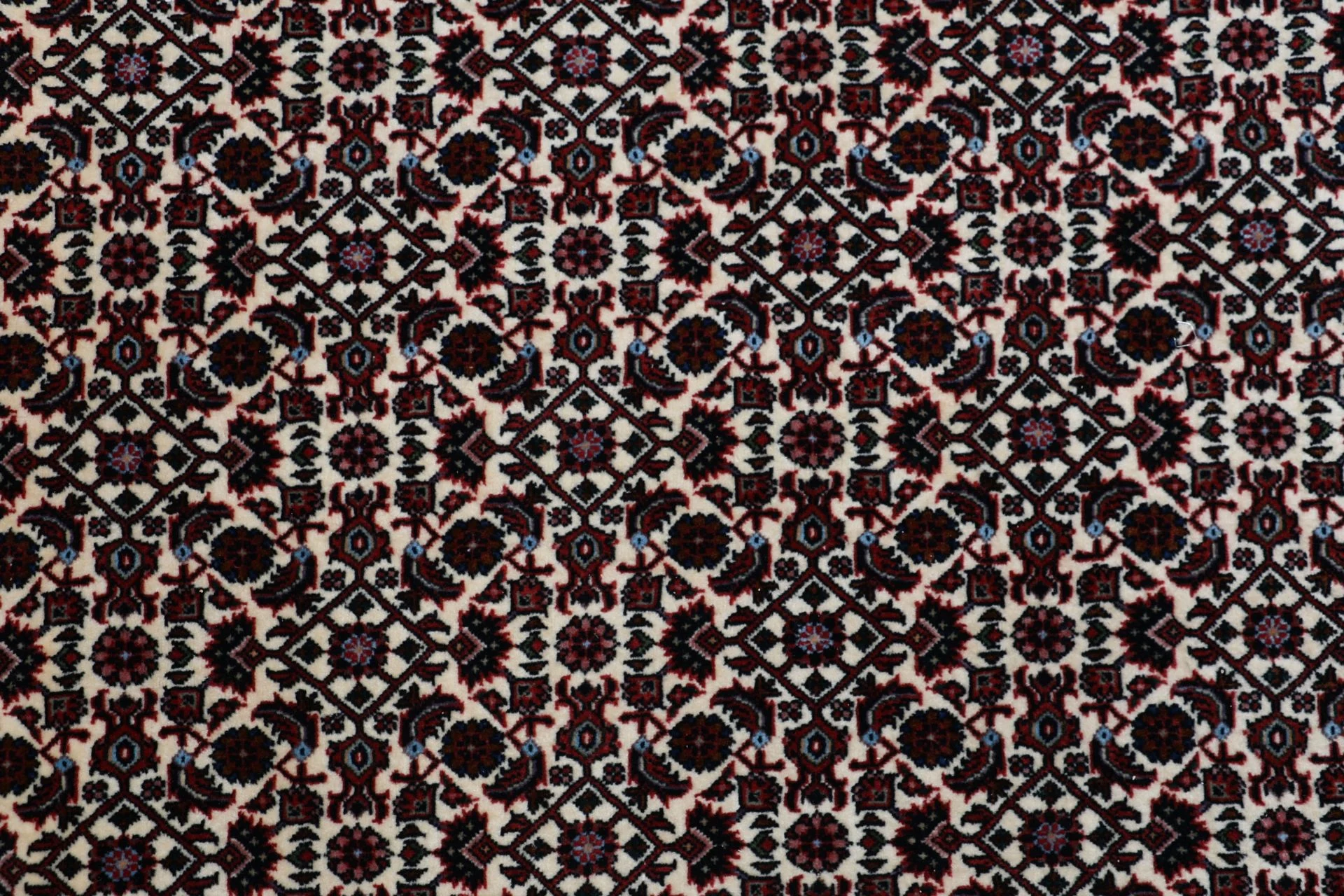 perserteppich-bidjar-258-x-355-cm-schurwolle-handgeknupft-66 Bijar Persian Rug 258 × 355 cm, Wool, hand-knotted