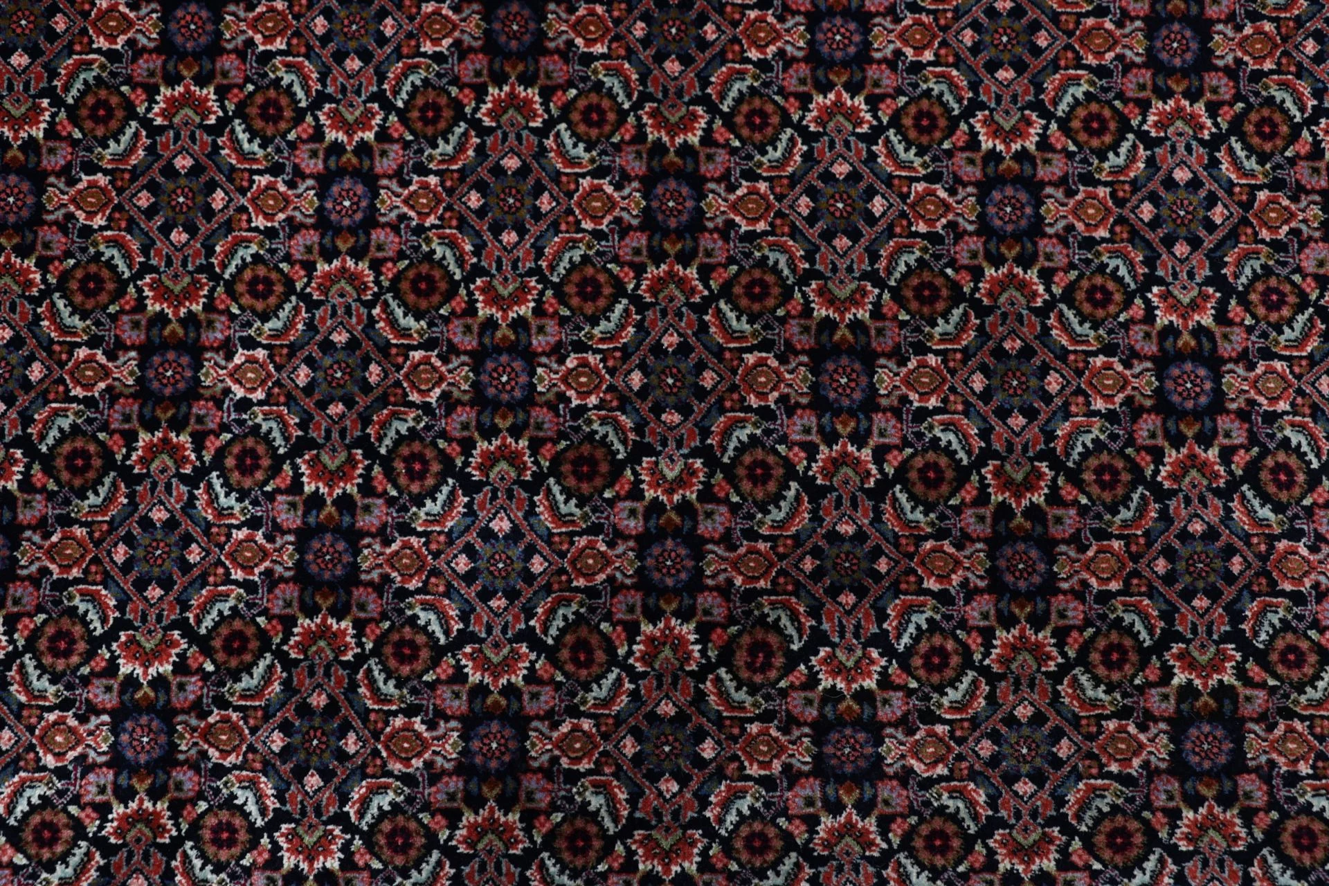 Hand-Knotted Wool Bijar Persian Rug, 170 × 264 cm