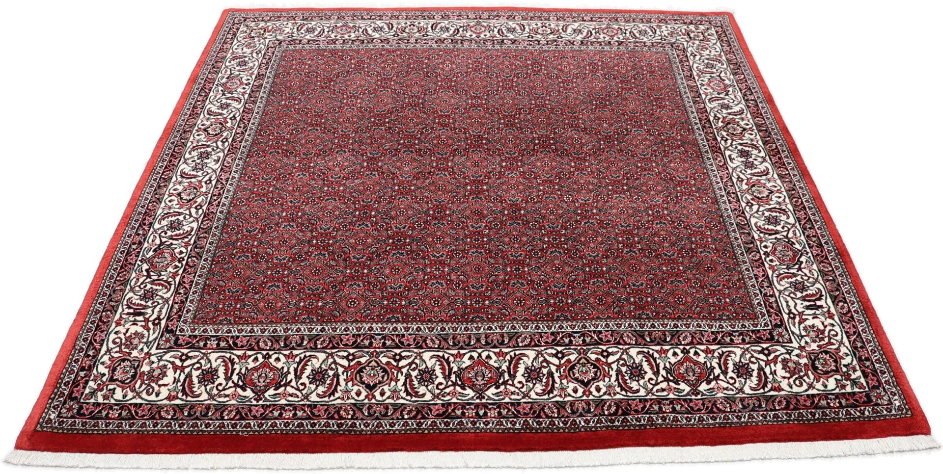 Bijar Persian Rug 205 × 208 cm, Wool & Silk, hand-knotted