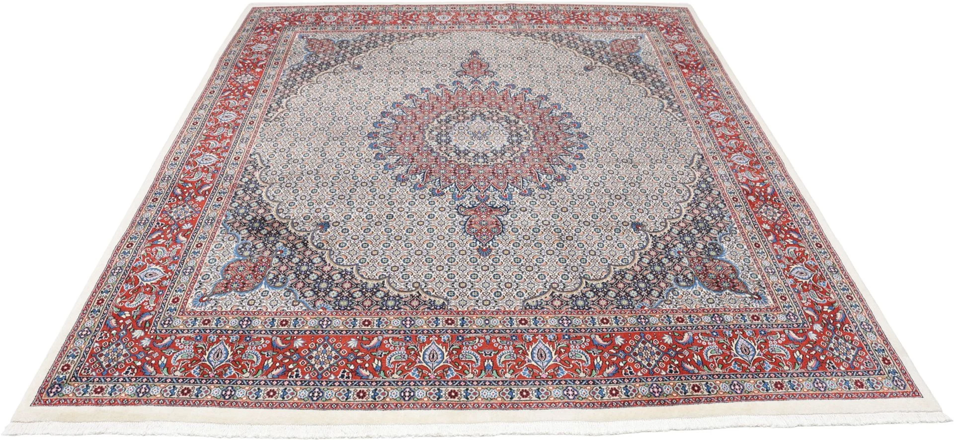 Moud Persian Rug — hand-knotted, 250 × 295 cm, Wool