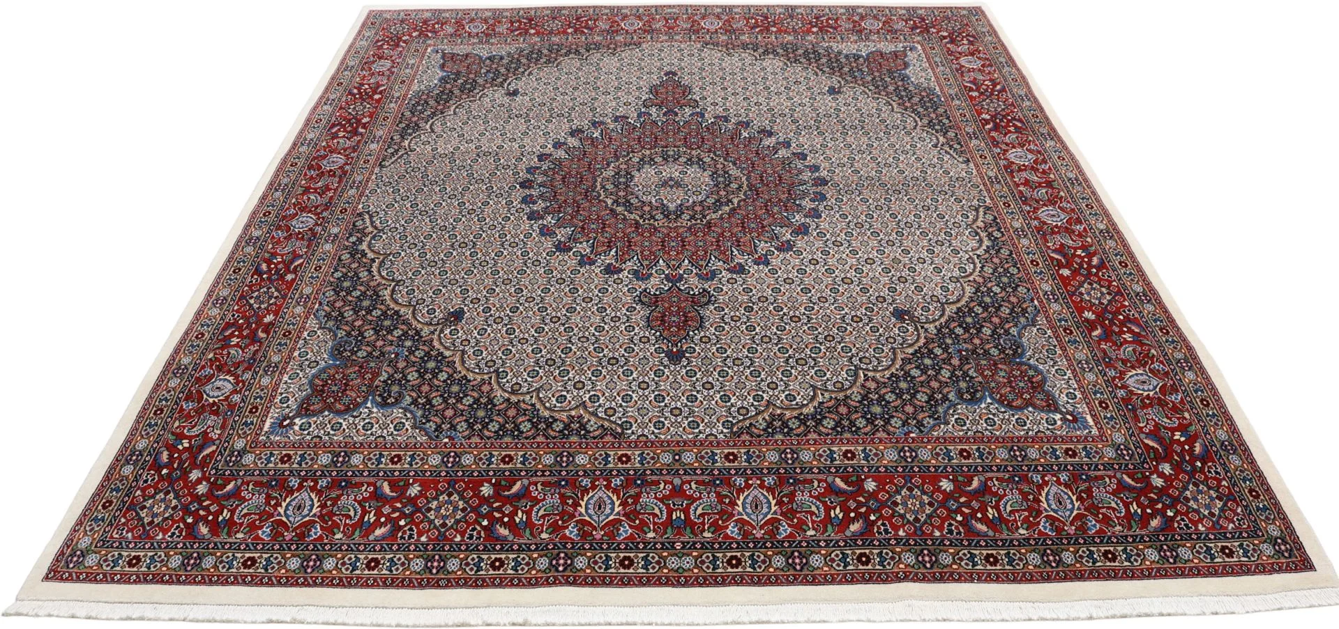 Moud Persian Rug — hand-knotted, 250 × 295 cm, Wool