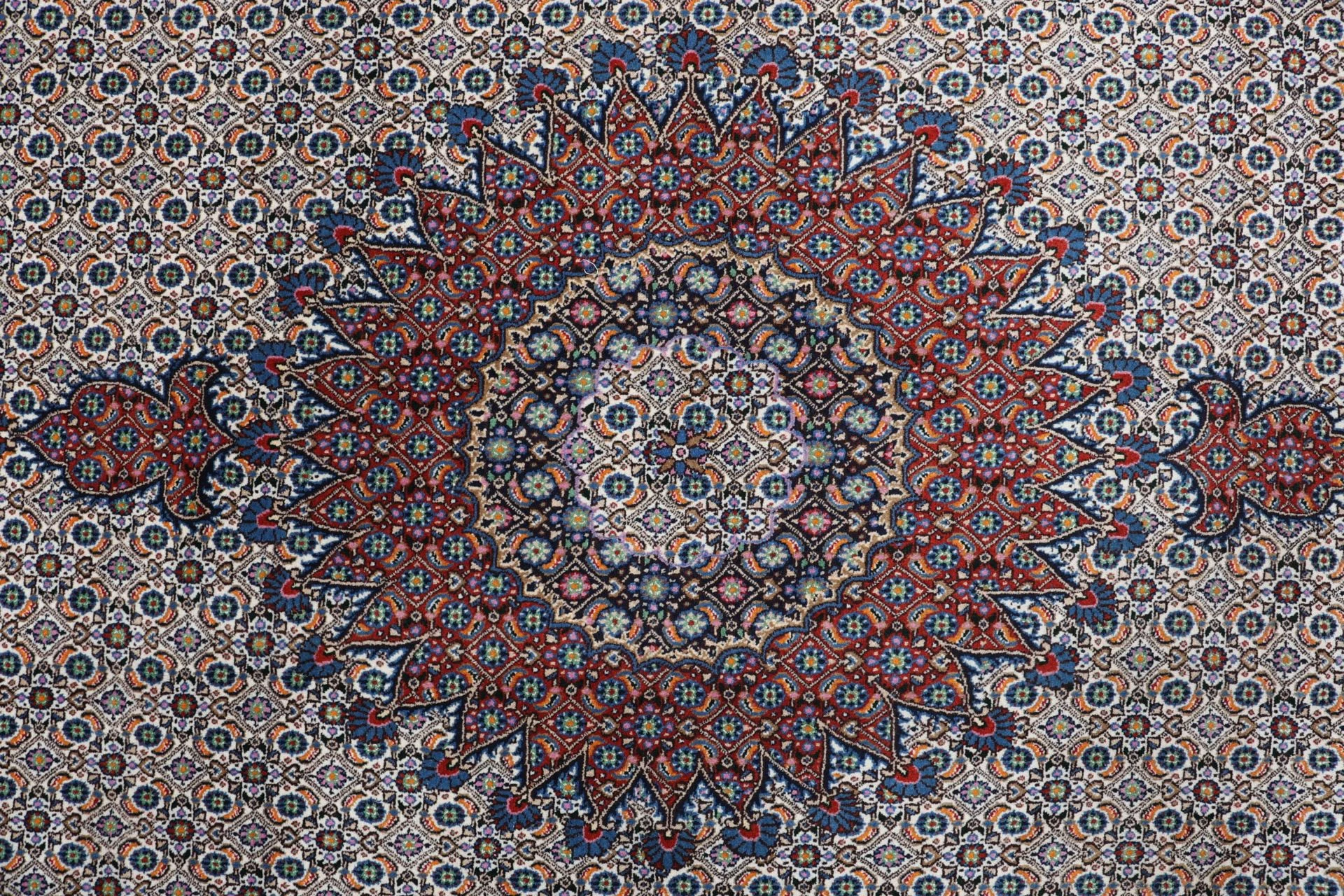 Moud Persian Rug — hand-knotted, 250 × 295 cm, Wool