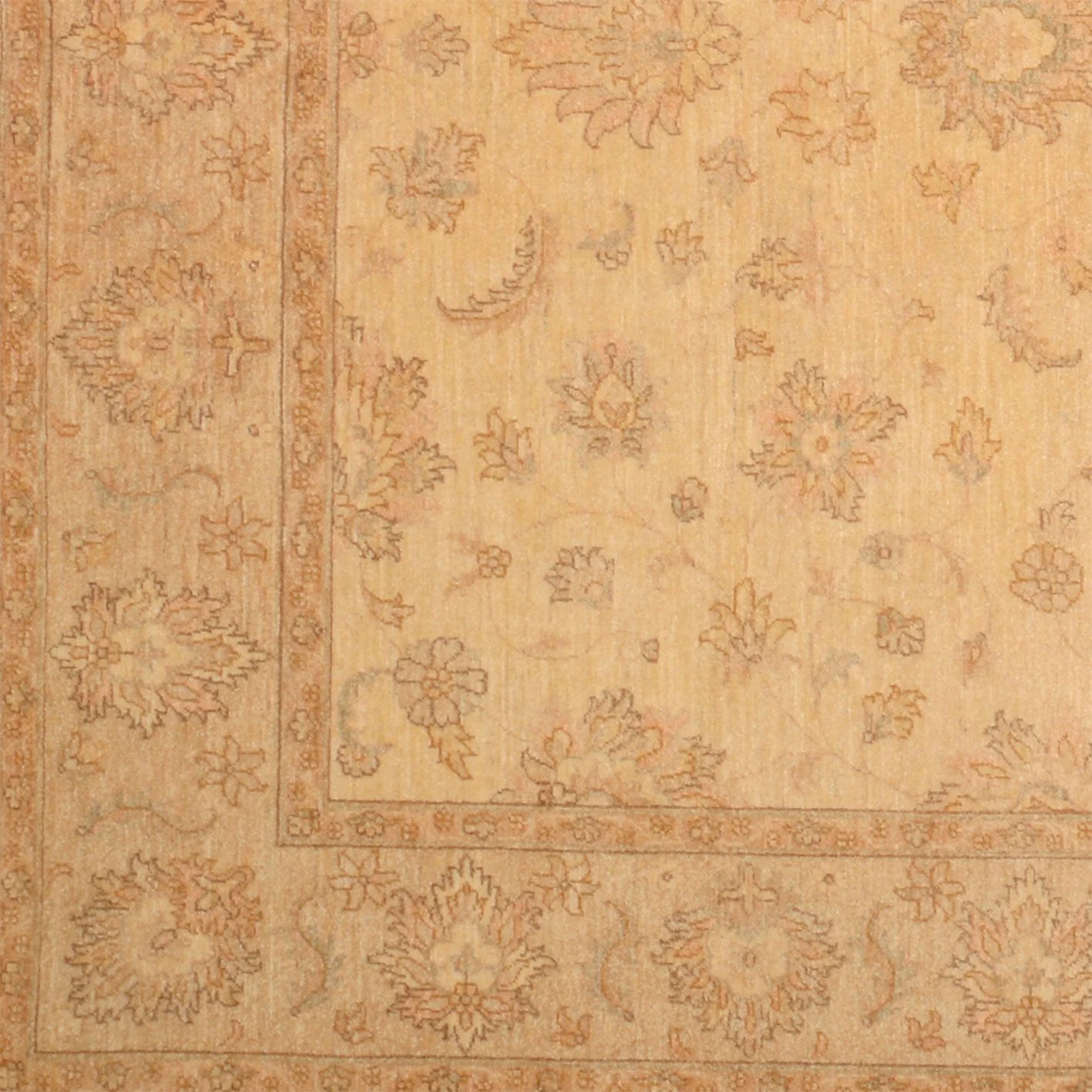 Hand-Knotted Wool Ziegler Pakistani Rug, 245 × 301 cm