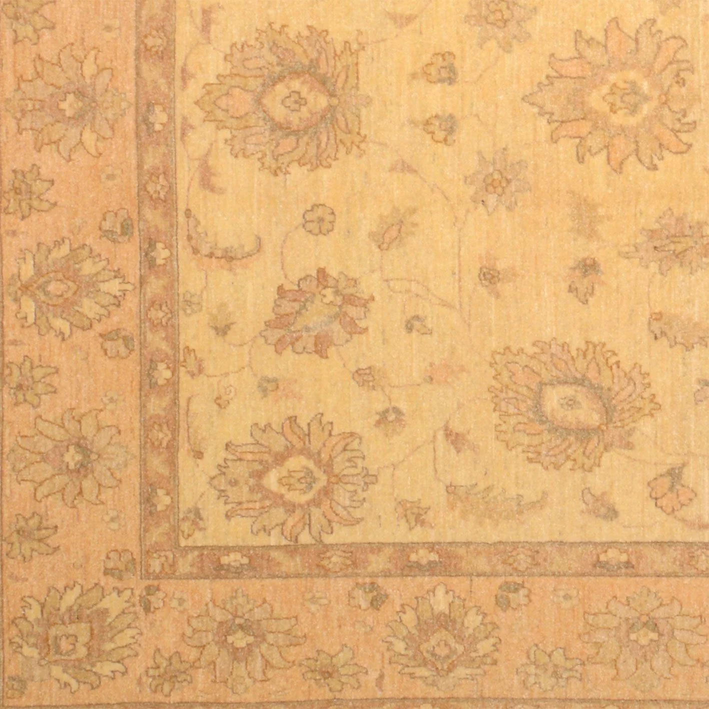 Ziegler Pakistani Rug — hand-knotted, 192 × 249 cm, Wool