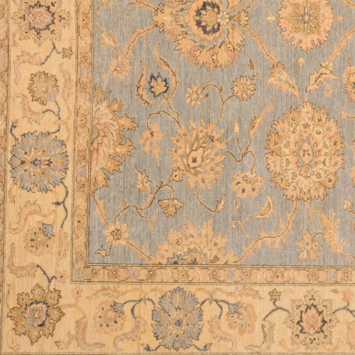 Ziegler Pakistani Rug — hand-knotted, 250 × 296 cm, Wool