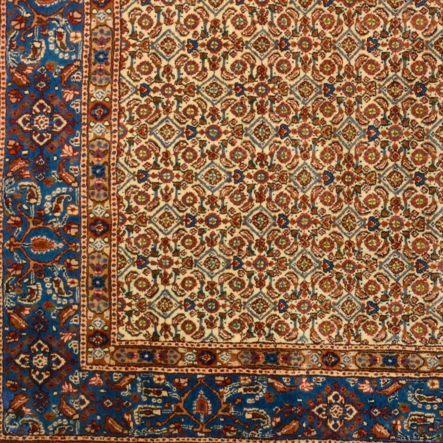 Moud Persian Rug — hand-knotted, 221 × 285 cm, Wool