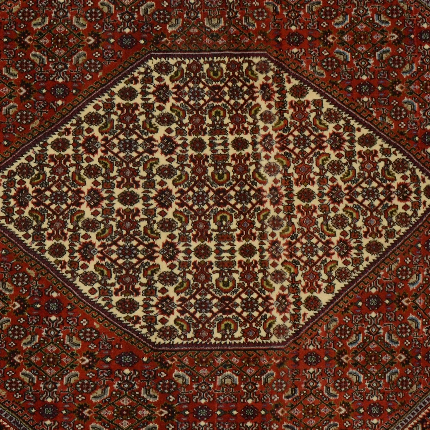 perserteppich-bidjar-113-x-185-cm-schurwolle-handgeknupft-robust-3 Bijar Persian Rug 113 × 185 cm, Wool, hand-knotted