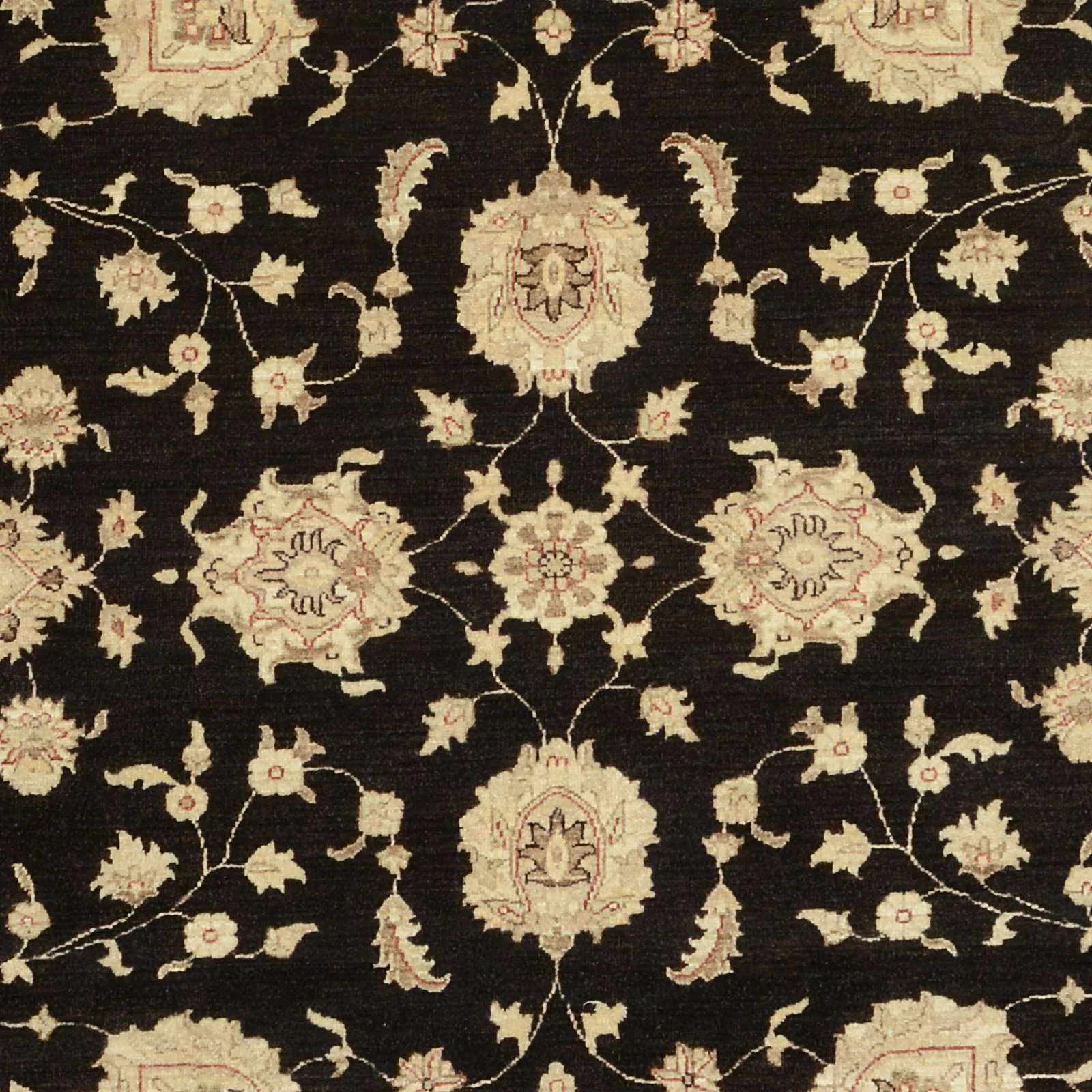Ziegler Pakistani Rug 242 × 304 cm, Wool, hand-knotted