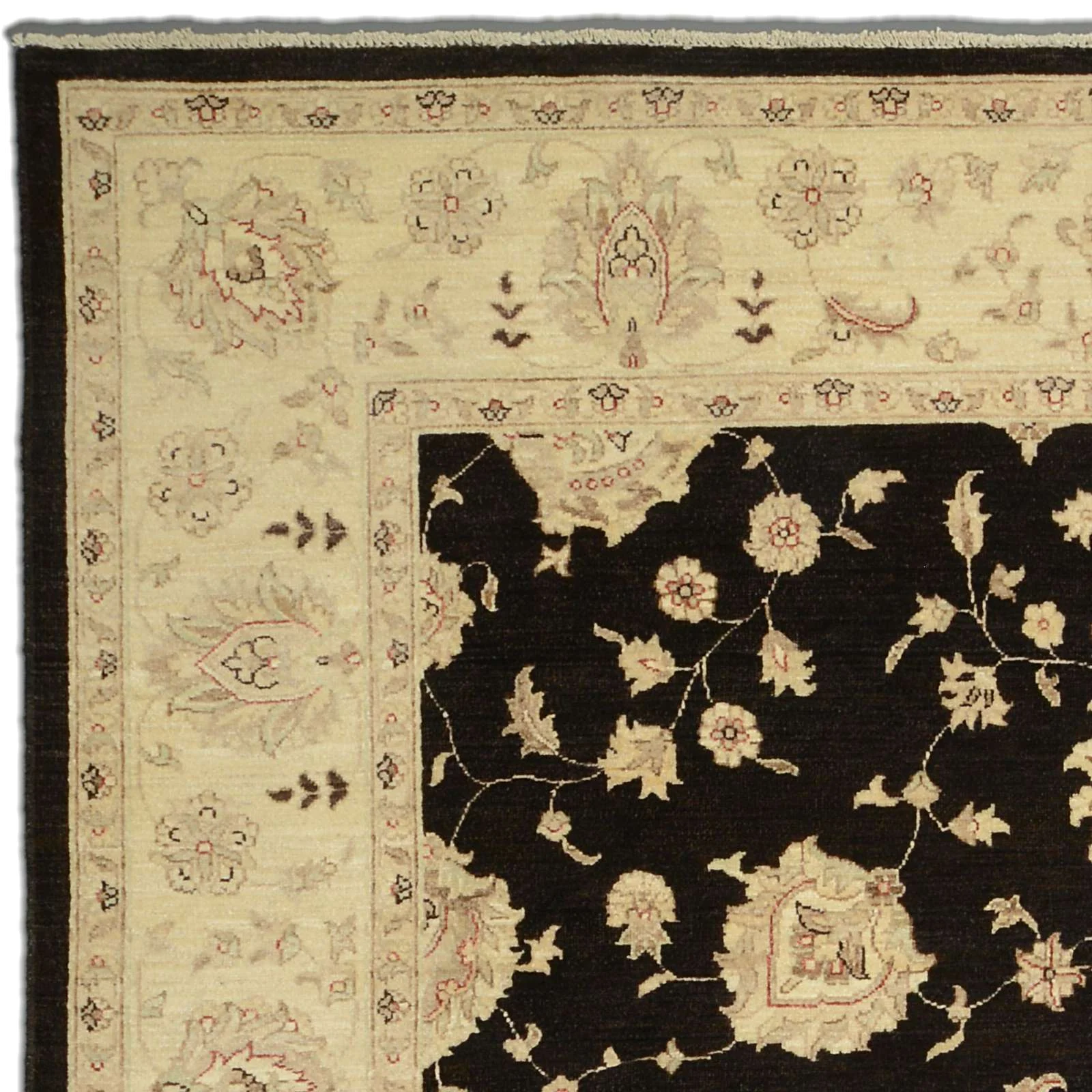 Ziegler Pakistani Rug 242 × 304 cm, Wool, hand-knotted