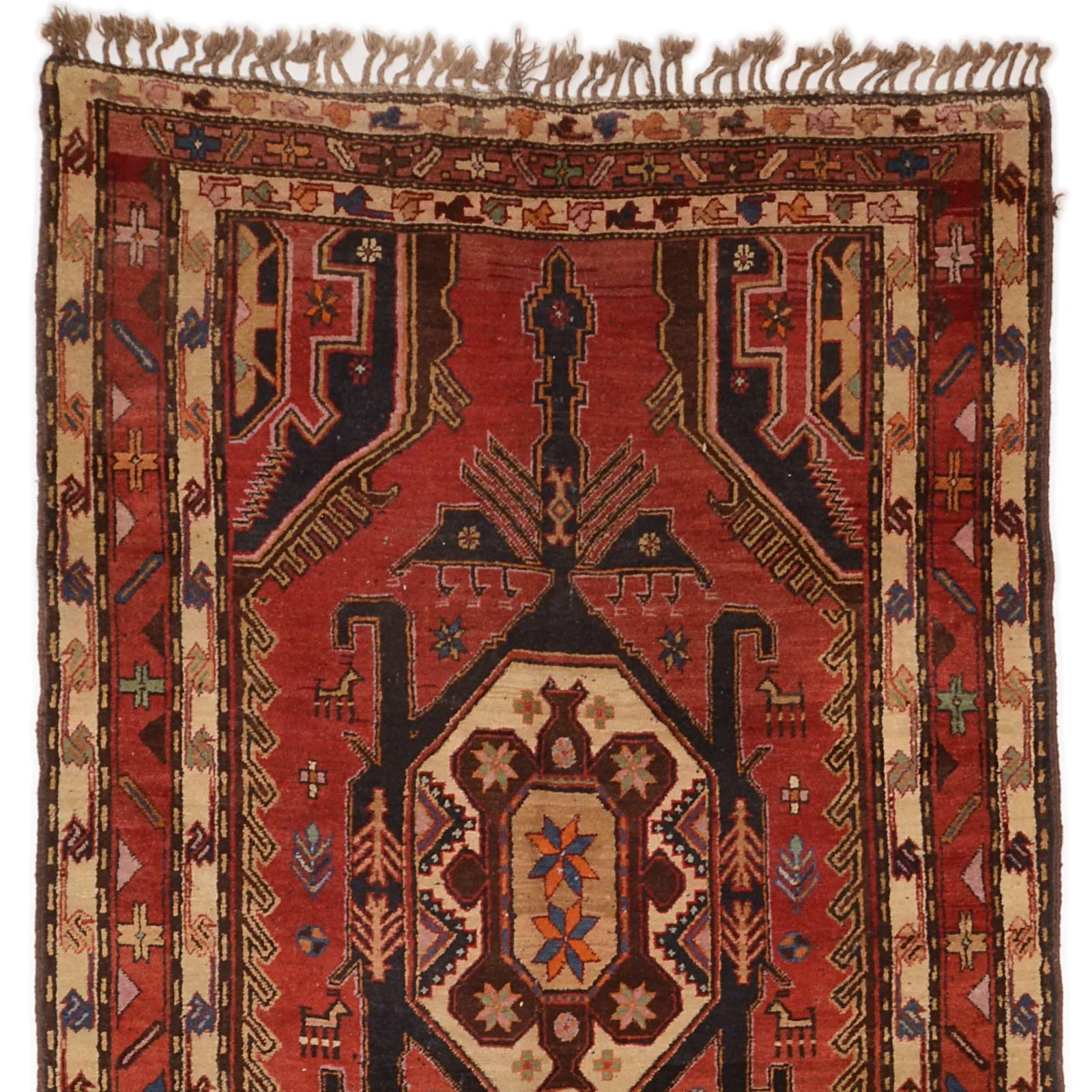 Shiraz Persian Rug 143 × 376 cm, Wool, hand-knotted