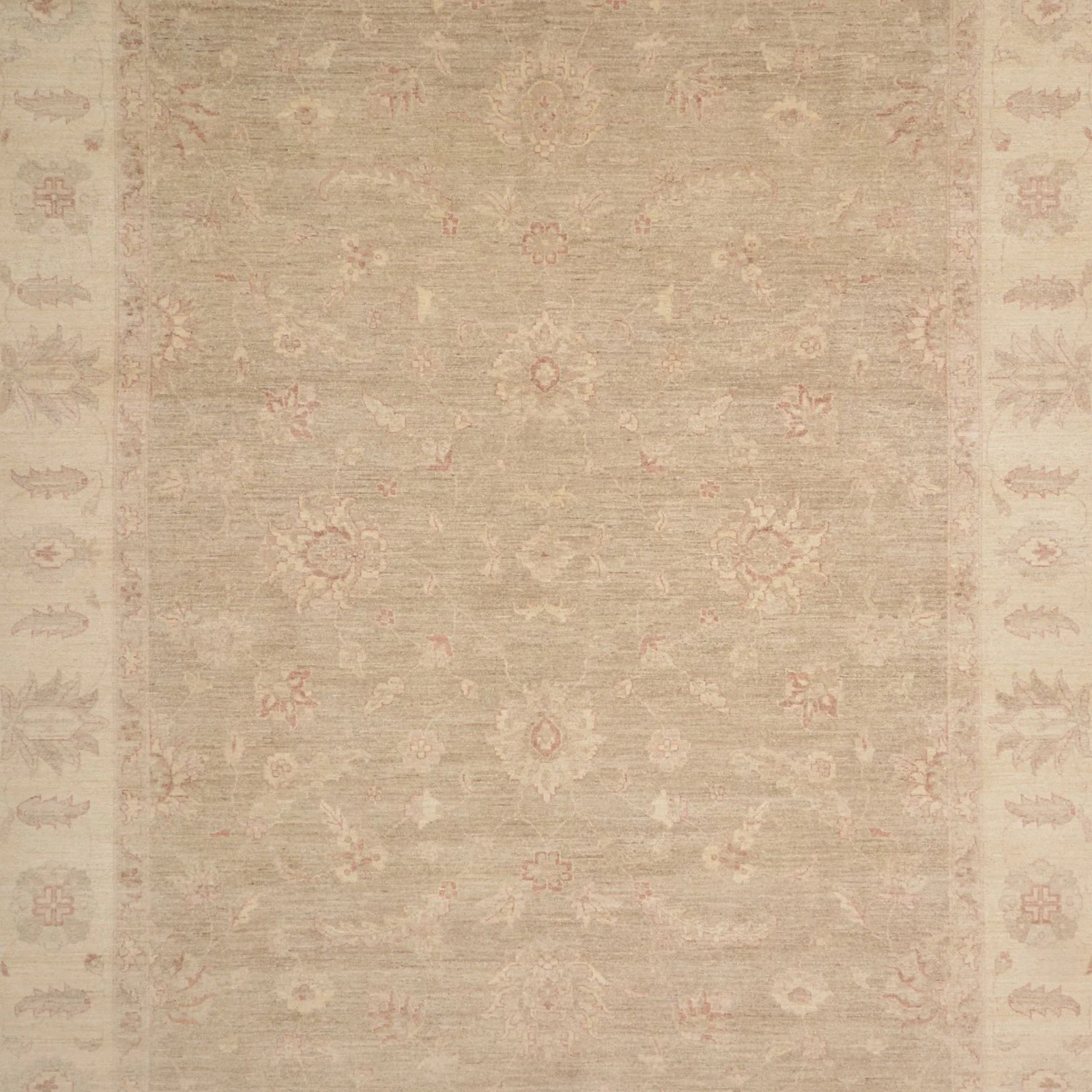 Ziegler Pakistani Rug 265 × 349 cm, Wool, hand-knotted