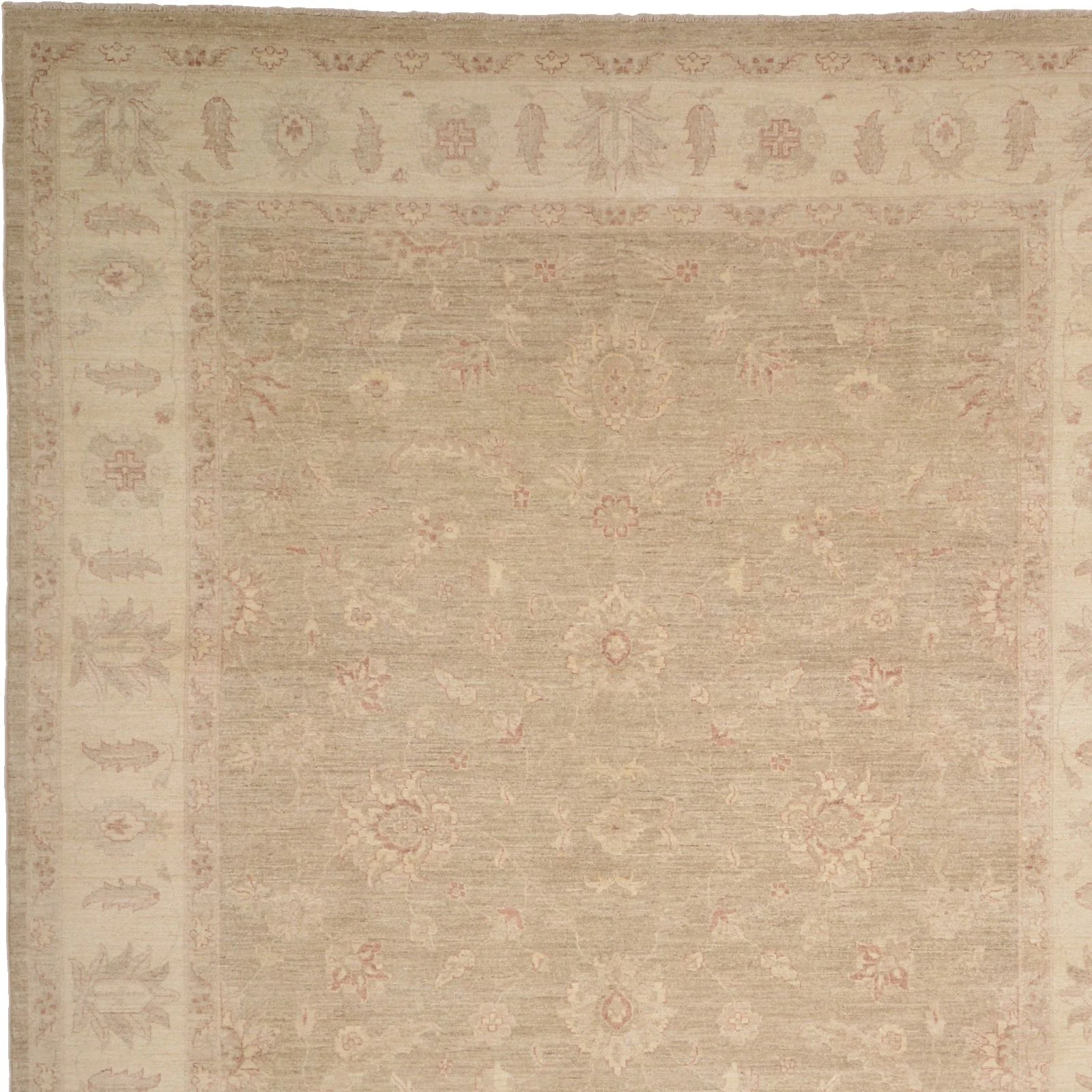 Ziegler Pakistani Rug 265 × 349 cm, Wool, hand-knotted