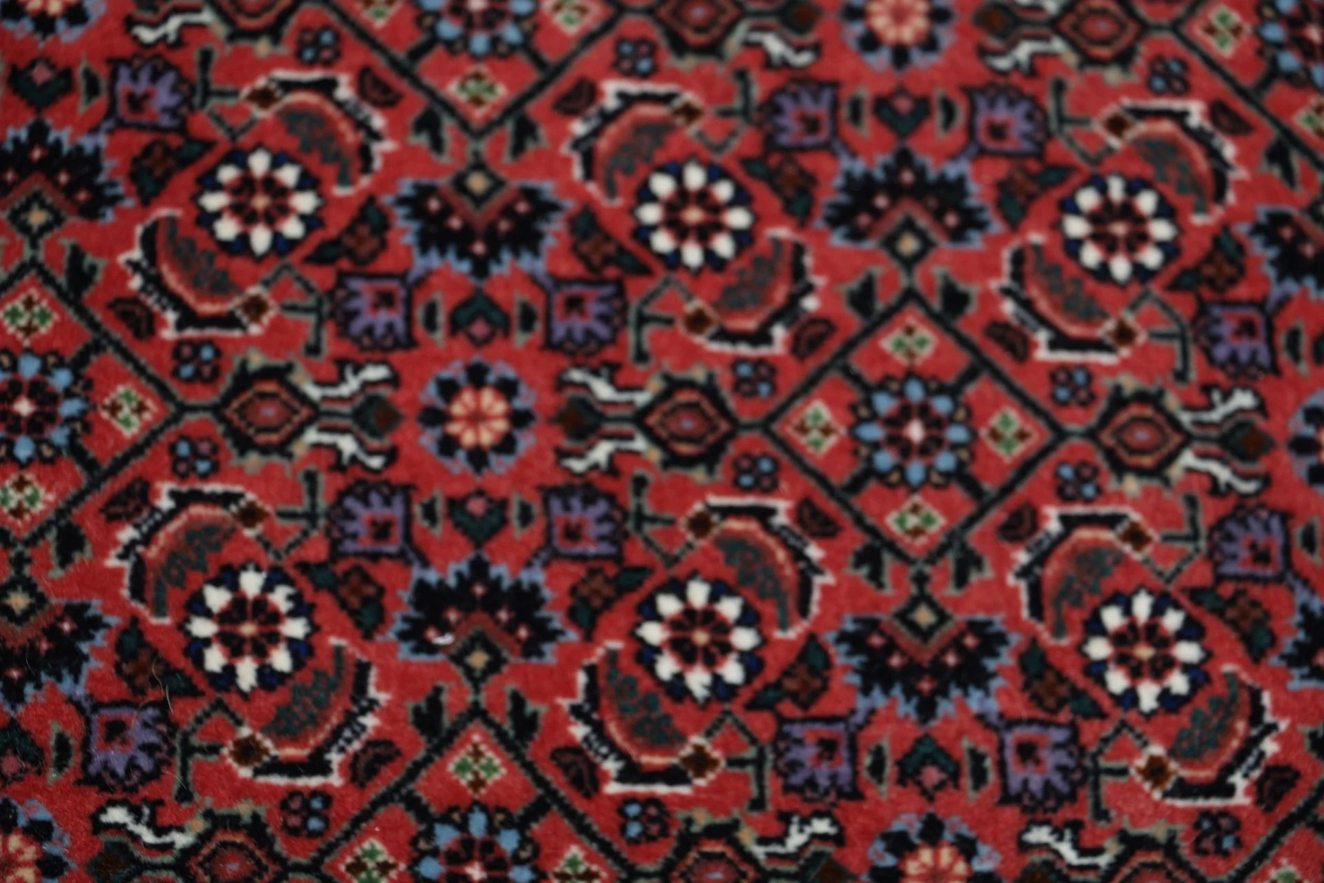 perserteppich-bidjar-247-x-336-cm-schurwolle-handgeknupft-8 Bijar Persian Rug 247 × 336 cm, Wool, hand-knotted