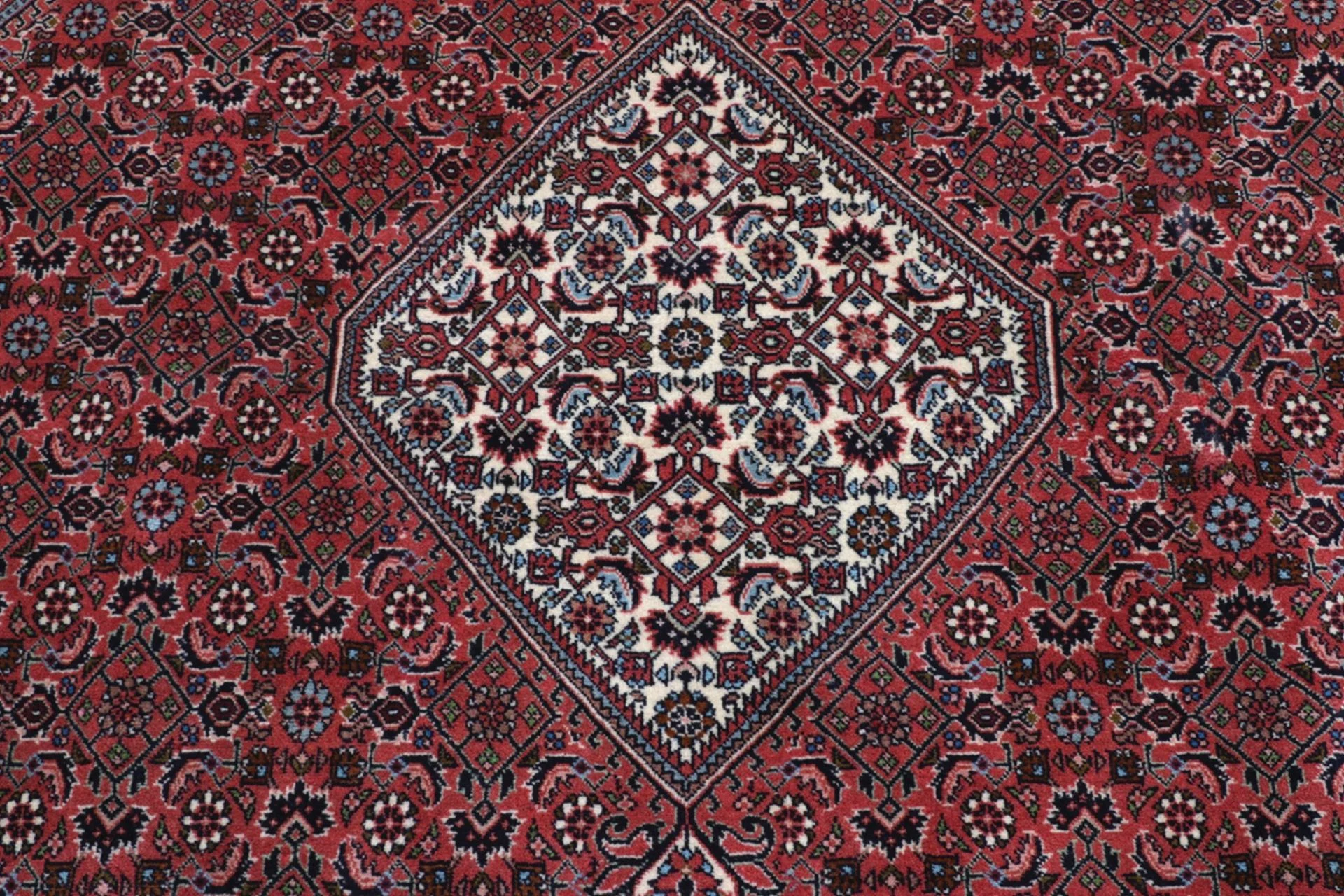 Hand-Knotted Wool Bijar Persian Rug, 248 × 290 cm