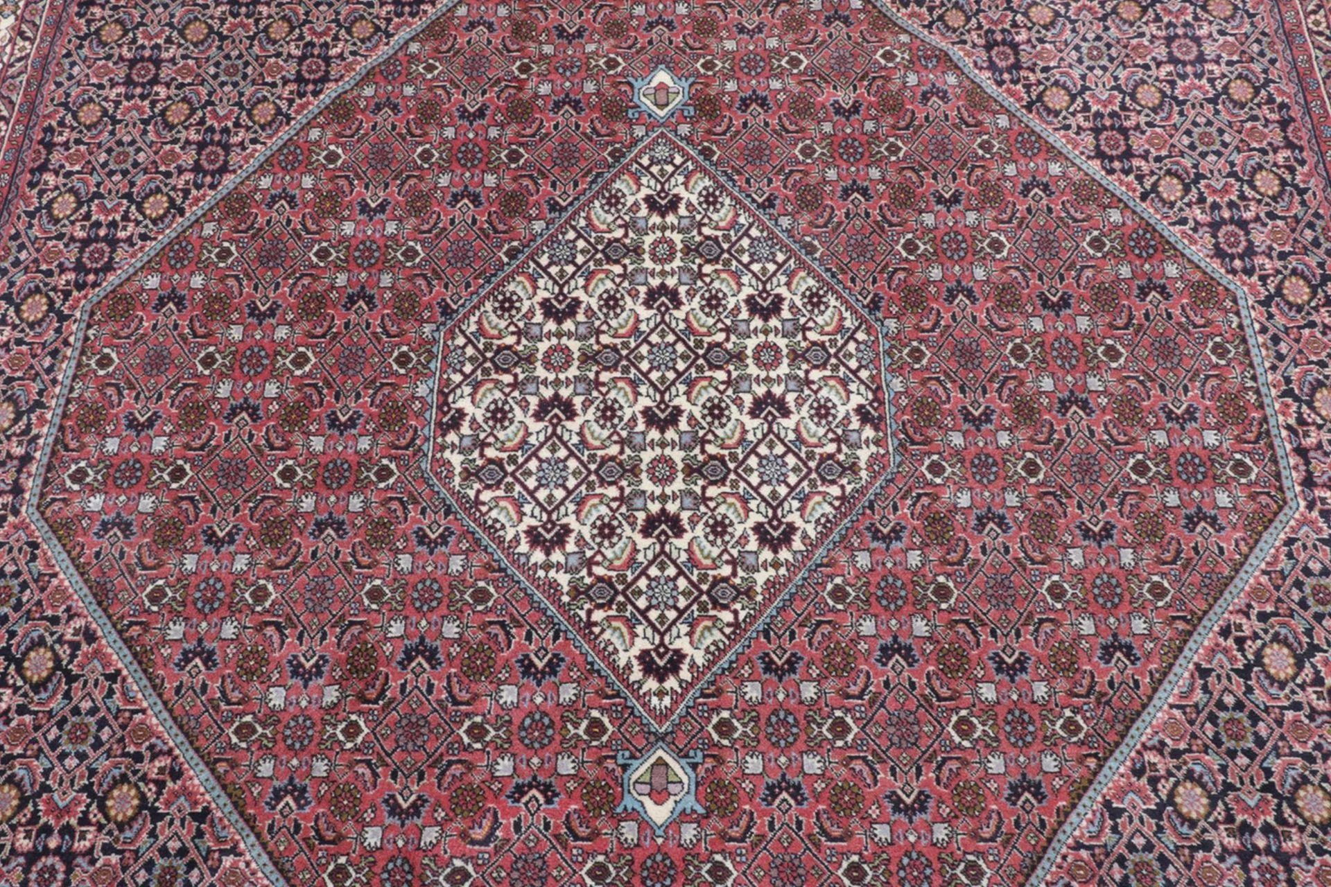 perserteppich-bidjar-250-x-295-cm-schurwolle-handgeknupft-robust-4 Bijar Persian Rug 250 × 295 cm, Wool, hand-knotted