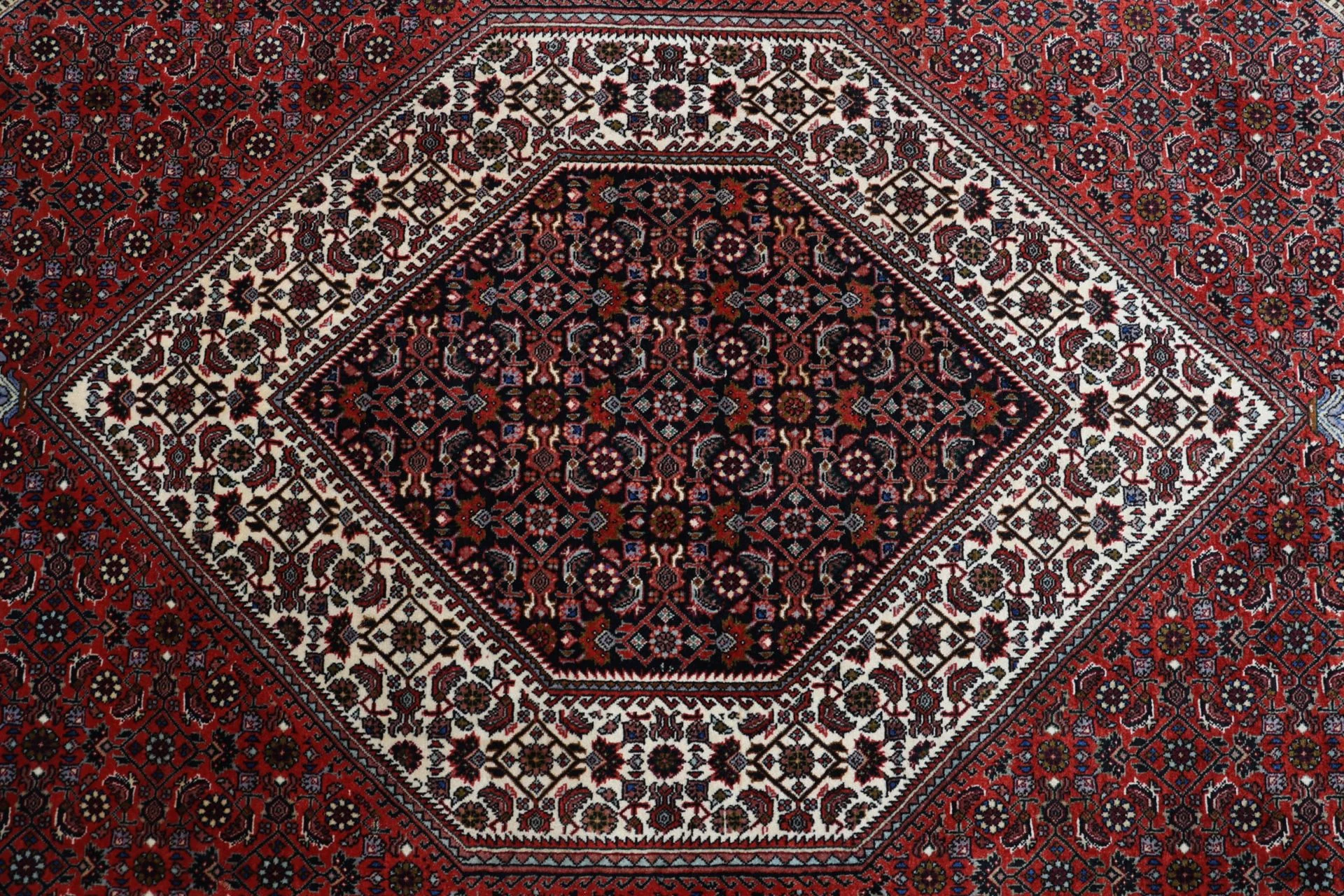 perserteppich-bidjar-205-x-295-cm-schurwolle-handgeknupft-37 Bijar Persian Rug 205 × 295 cm, Wool, hand-knotted