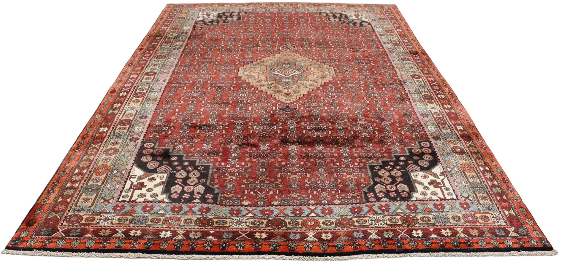 Bijar Persian Rug — hand-knotted, 203 × 300 cm, Wool