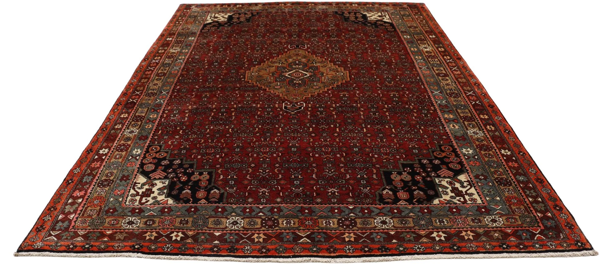 Bijar Persian Rug — hand-knotted, 203 × 300 cm, Wool