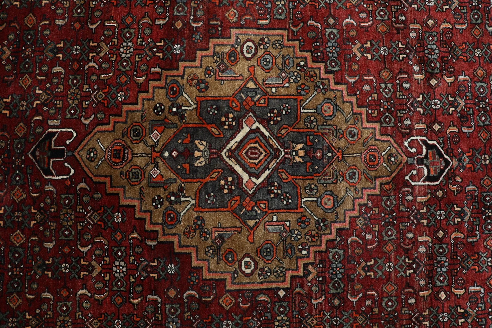 Bijar Persian Rug — hand-knotted, 203 × 300 cm, Wool