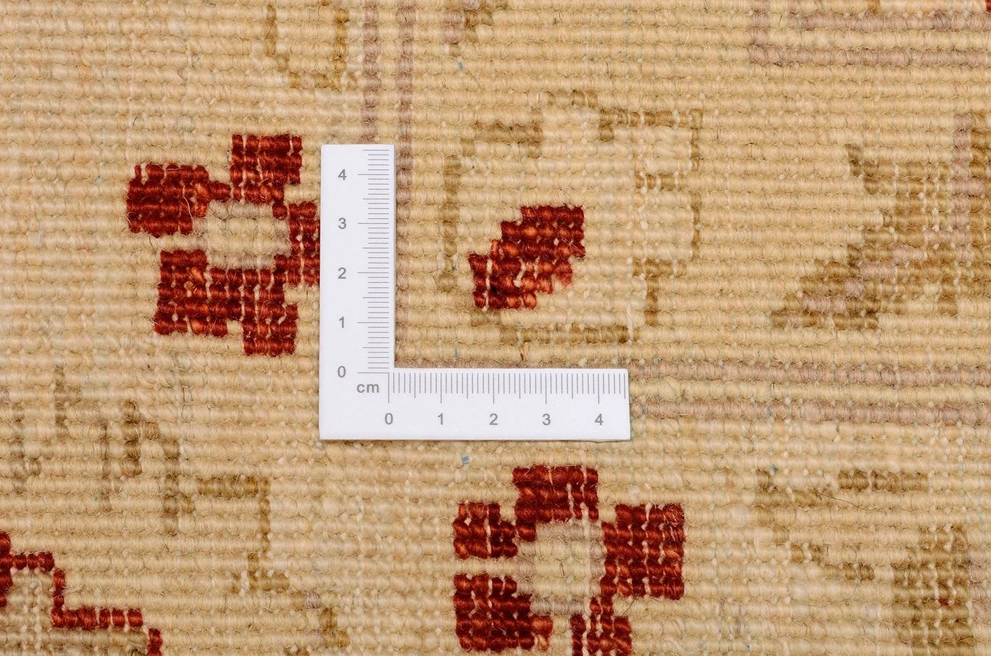 Hand-Knotted Wool Ziegler Pakistani Rug, 265 × 392 cm