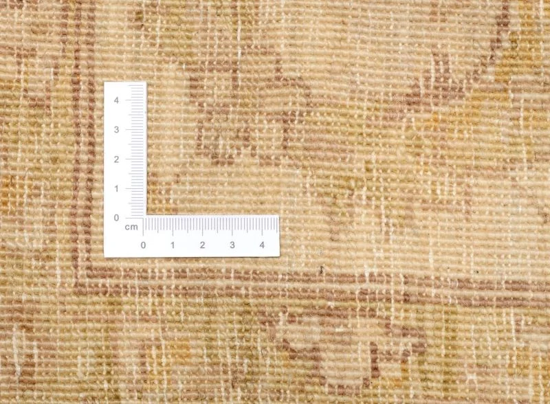 Ziegler Pakistani Rug 180 × 272 cm, Wool, hand-knotted
