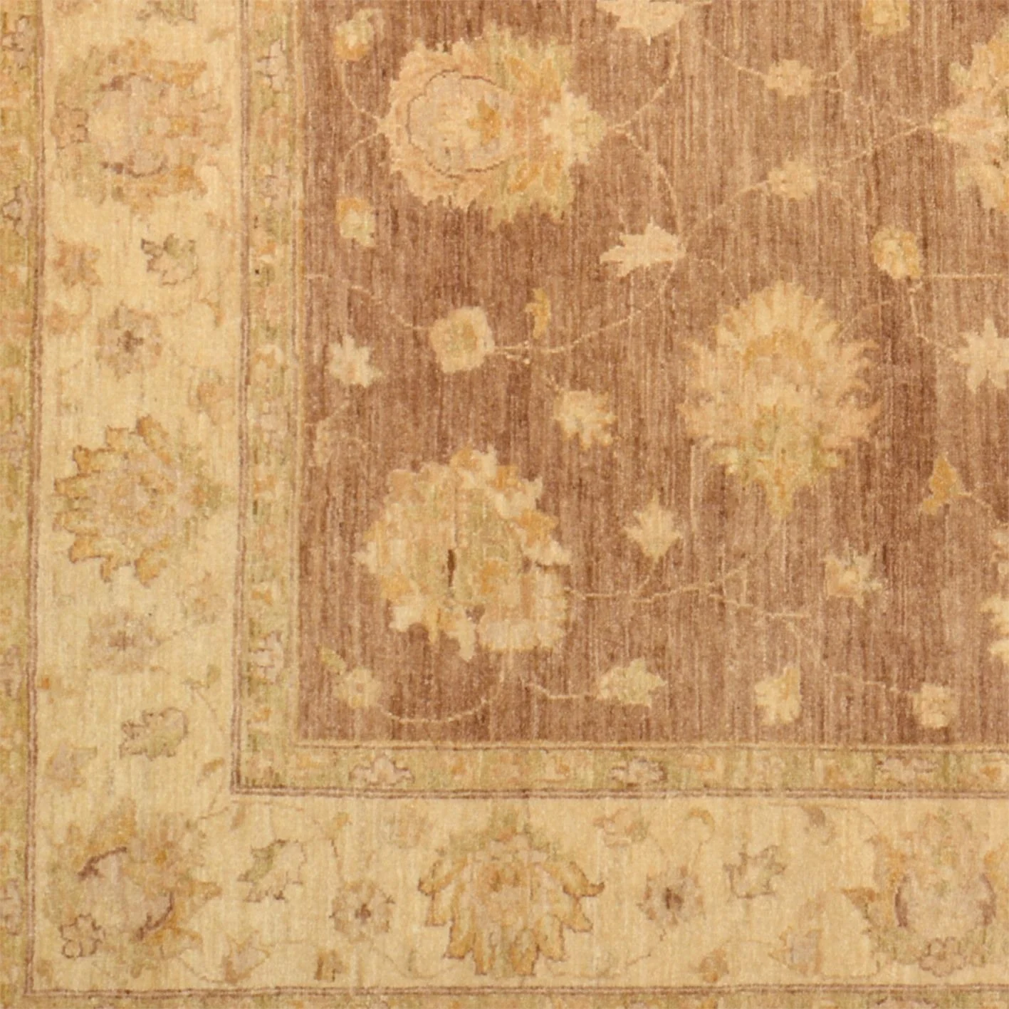 Ziegler Pakistani Rug 180 × 272 cm, Wool, hand-knotted