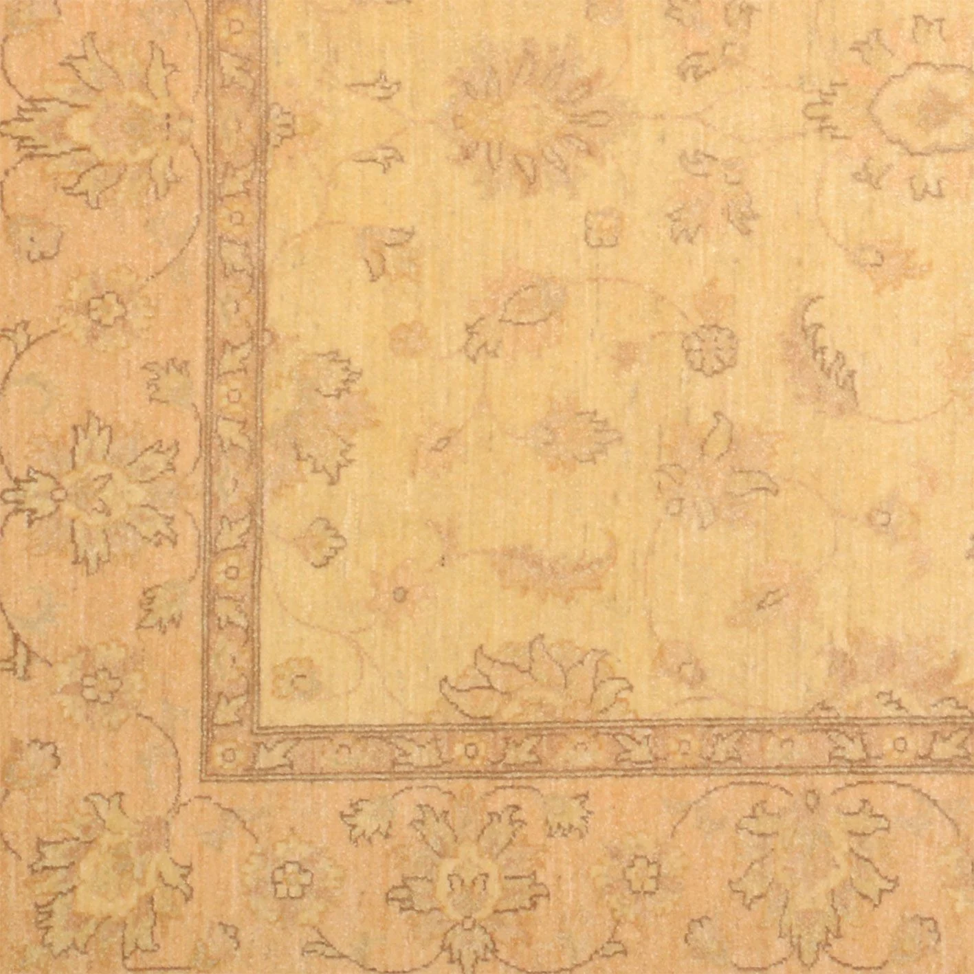 Ziegler Pakistani Rug — hand-knotted, 195 × 254 cm, Wool