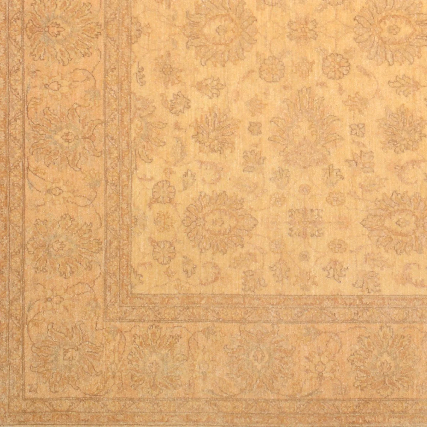 Ziegler Pakistani Rug 196 × 240 cm, Wool, hand-knotted