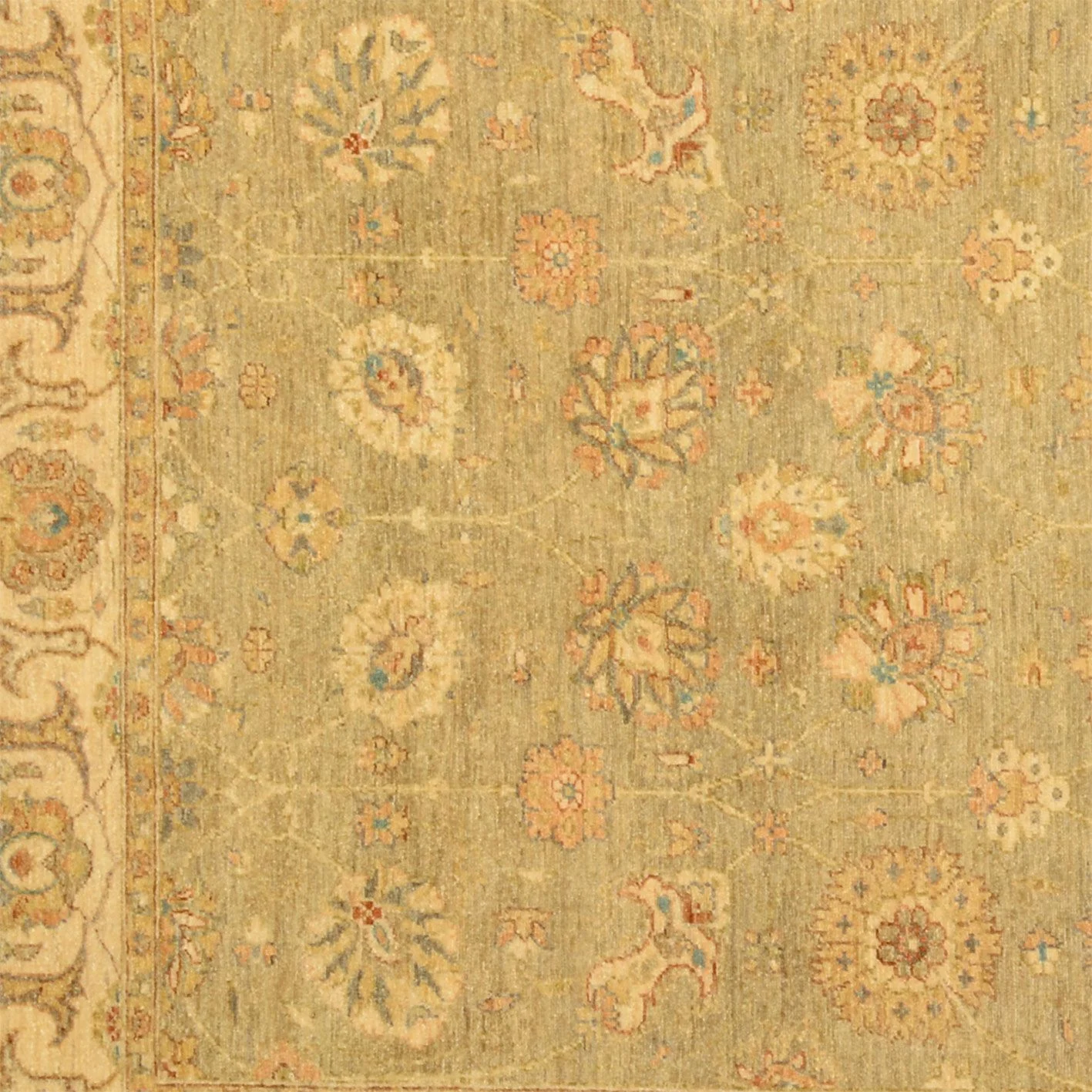 orientteppich-ziegler-185-x-266-cm-schurwolle-handgeknupft-3 Hand-Knotted Wool Ziegler Pakistani Rug, 185 × 266 cm