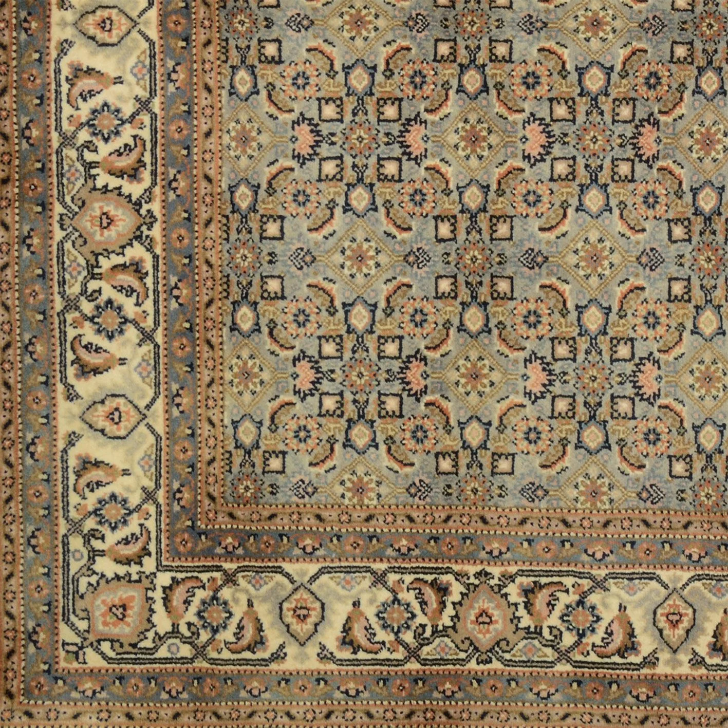 orientteppich-bidjar-170-x-247-cm-schurwolle-handgeknupft-3 Bijar Indian Rug 170 × 247 cm, Wool, hand-knotted