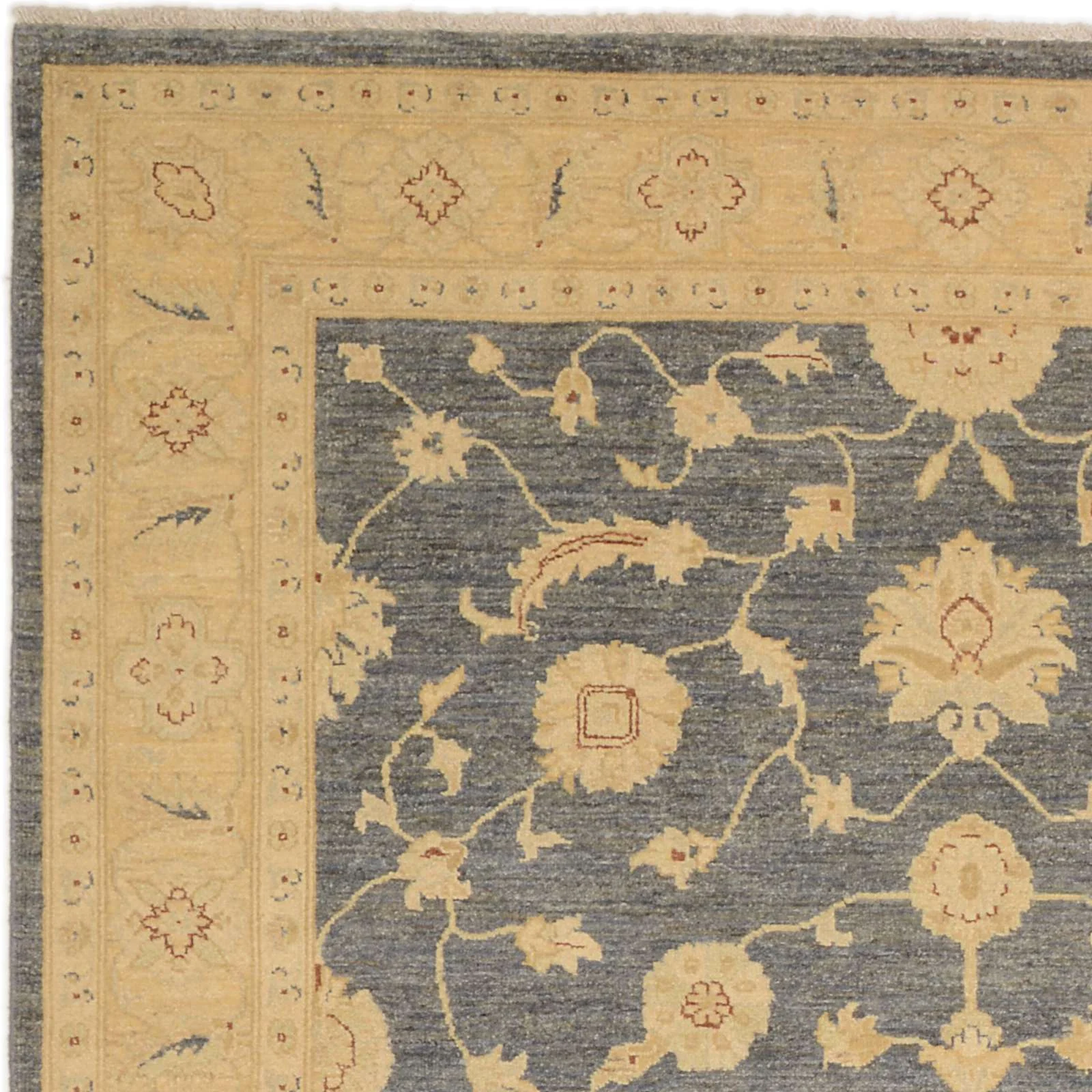 orientteppich-ziegler-268-x-187-cm-schurwolle-handgeknupft-neu-4 Ziegler Pakistani Rug 268 × 187 cm, Wool, hand-knotted