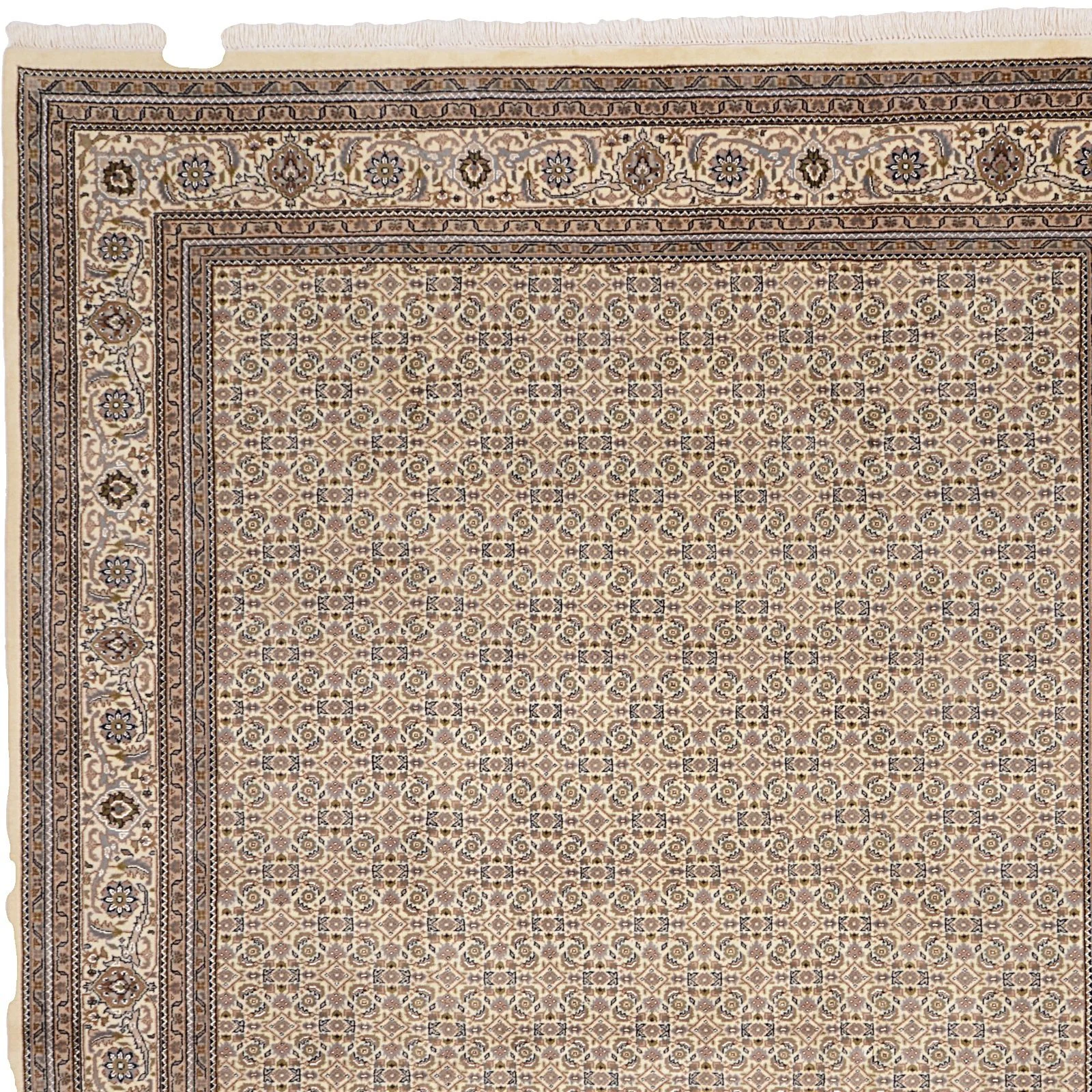 Hand-Knotted Wool Tabriz Indian Rug, 250 × 300 cm