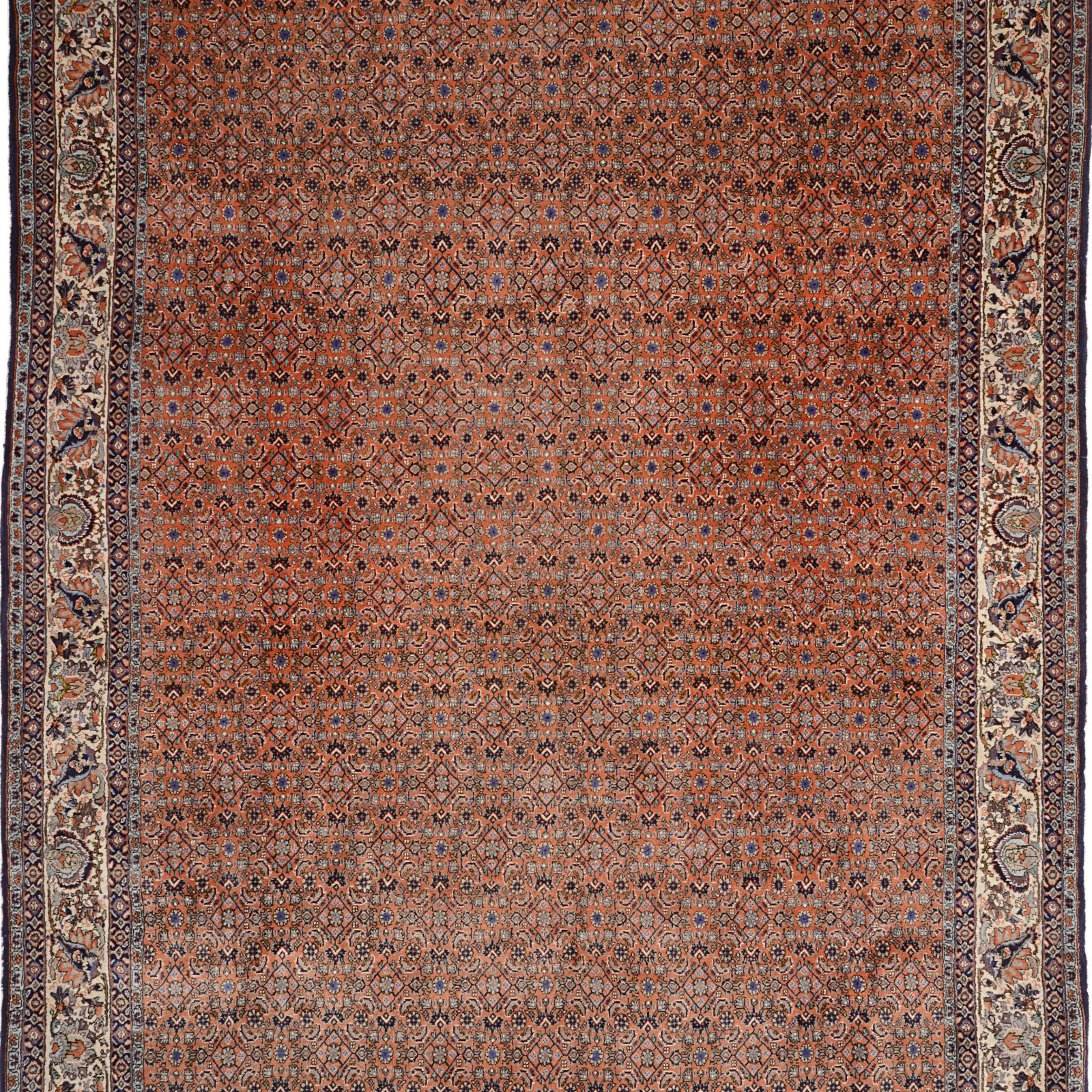 Bijar Persian Rug — hand-knotted, 204 × 295 cm, Wool