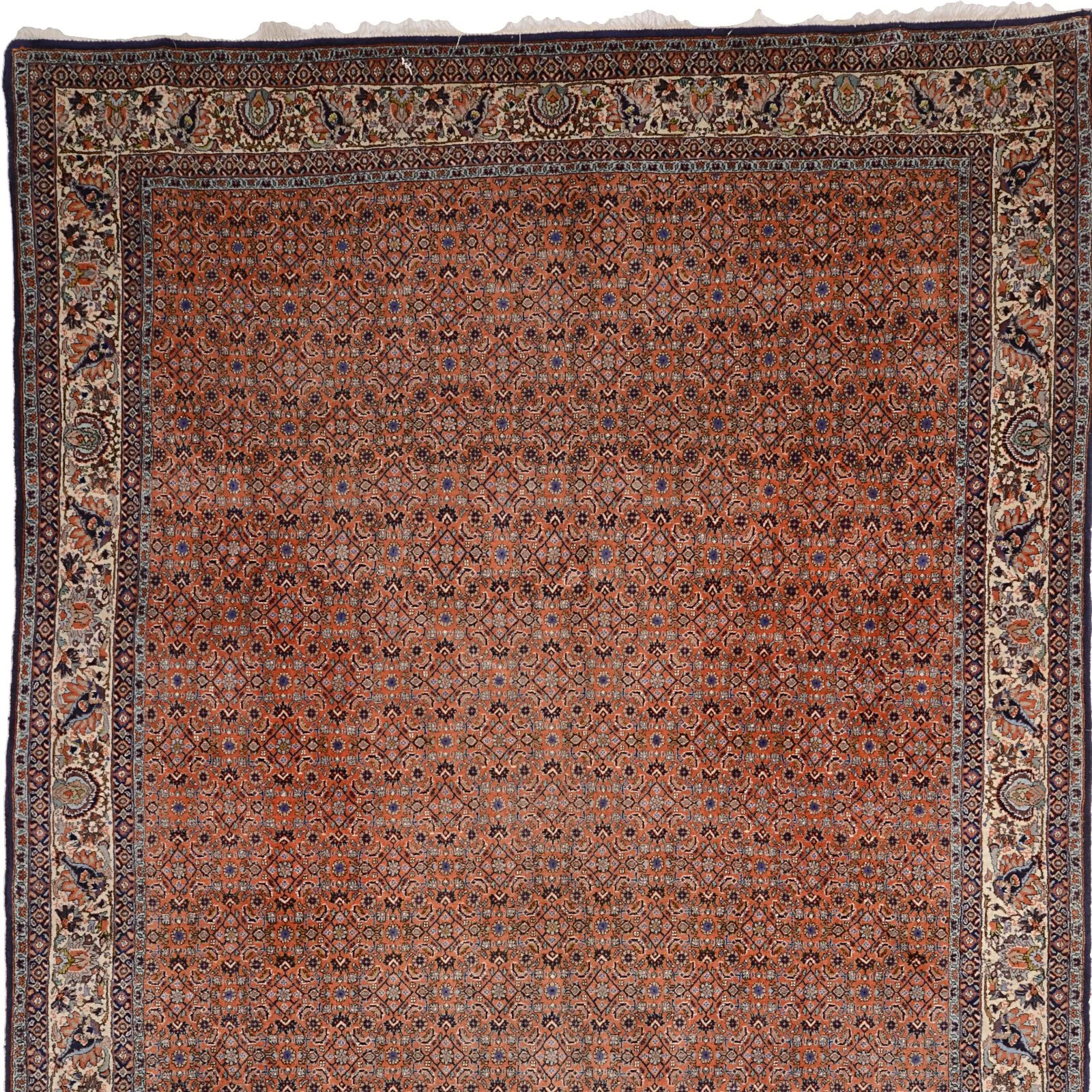 Bijar Persian Rug — hand-knotted, 204 × 295 cm, Wool