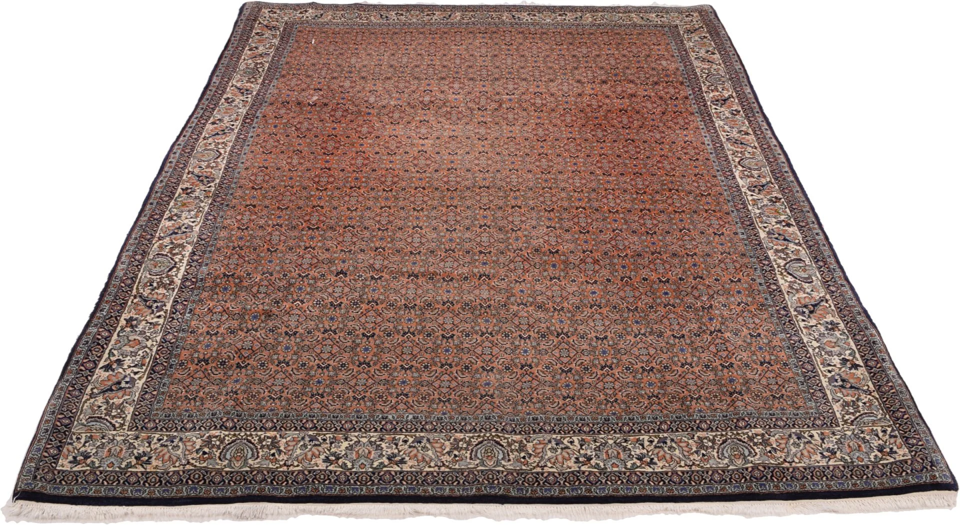 Bijar Persian Rug — hand-knotted, 204 × 295 cm, Wool