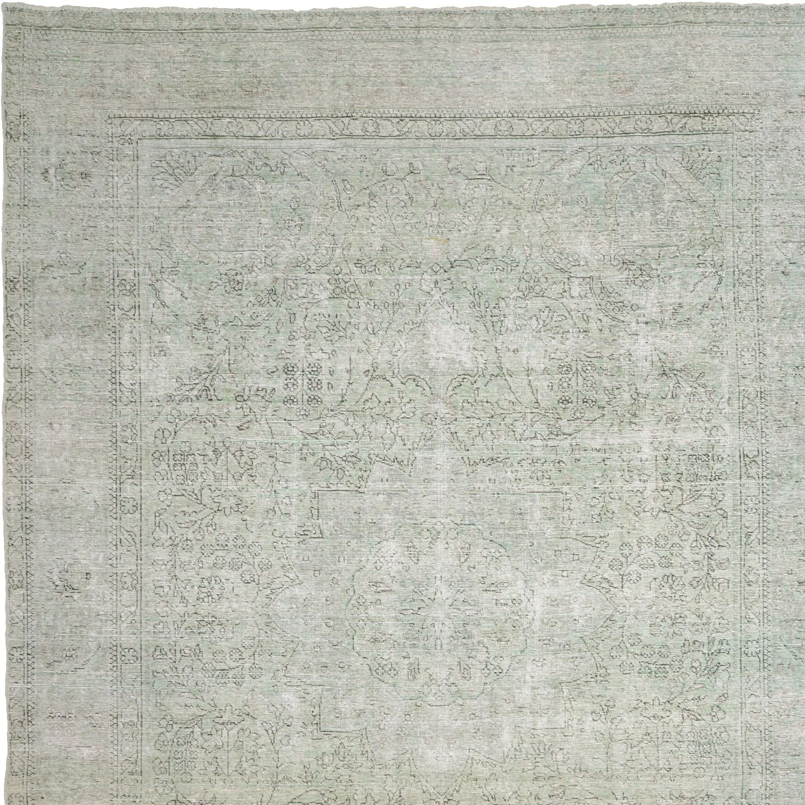 Pakistani Rug — hand-knotted, 337 × 249 cm, Wool