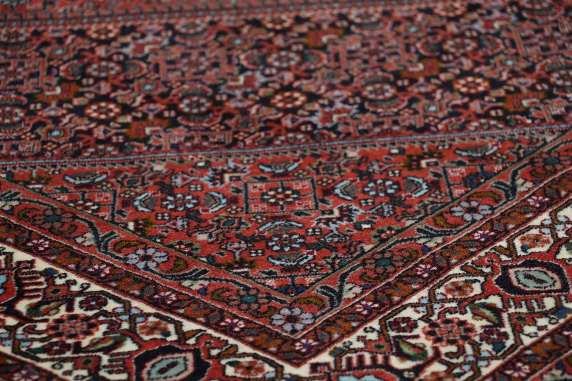 Bijar Persian Rug 170 × 245 cm, Wool, hand-knotted