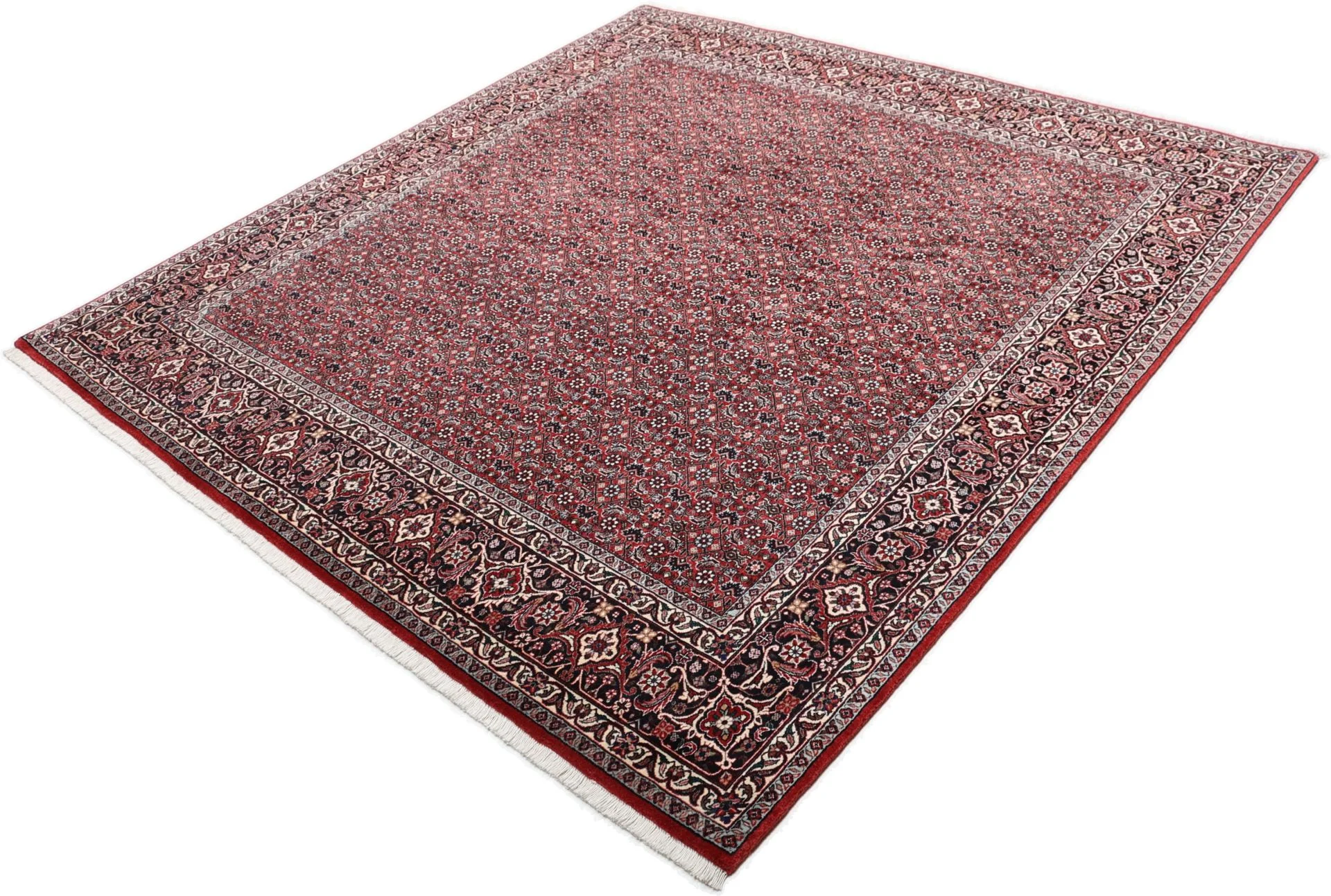 Bijar Persian Rug 203 × 215 cm, Wool, hand-knotted